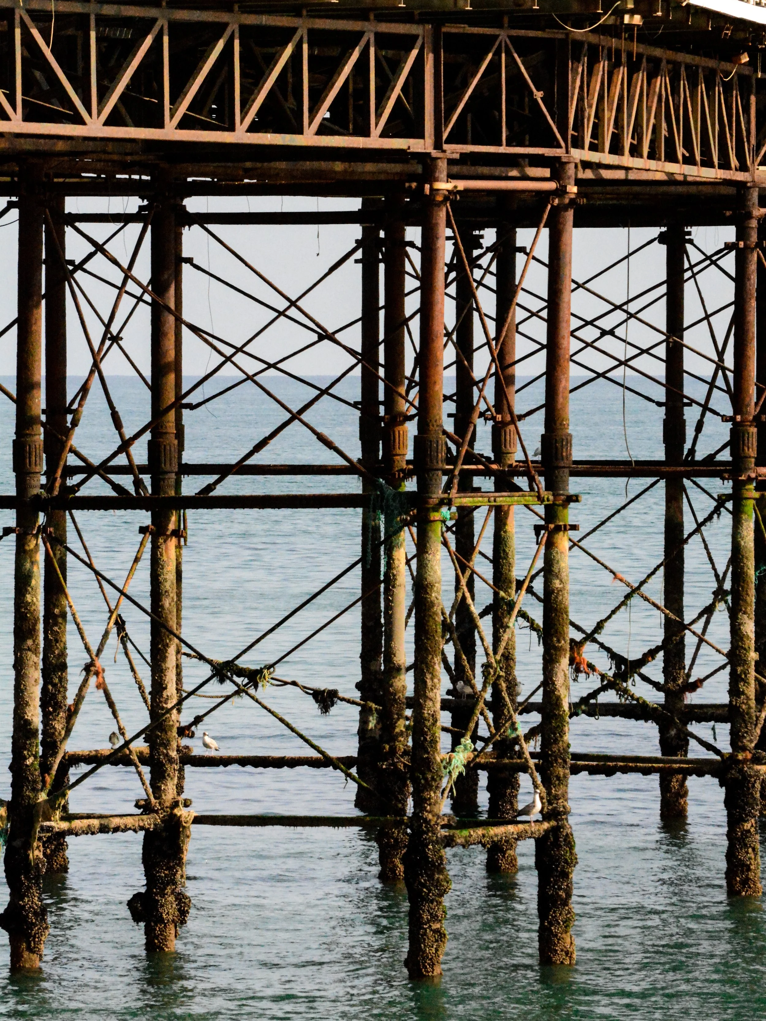 Brighton-79.jpg