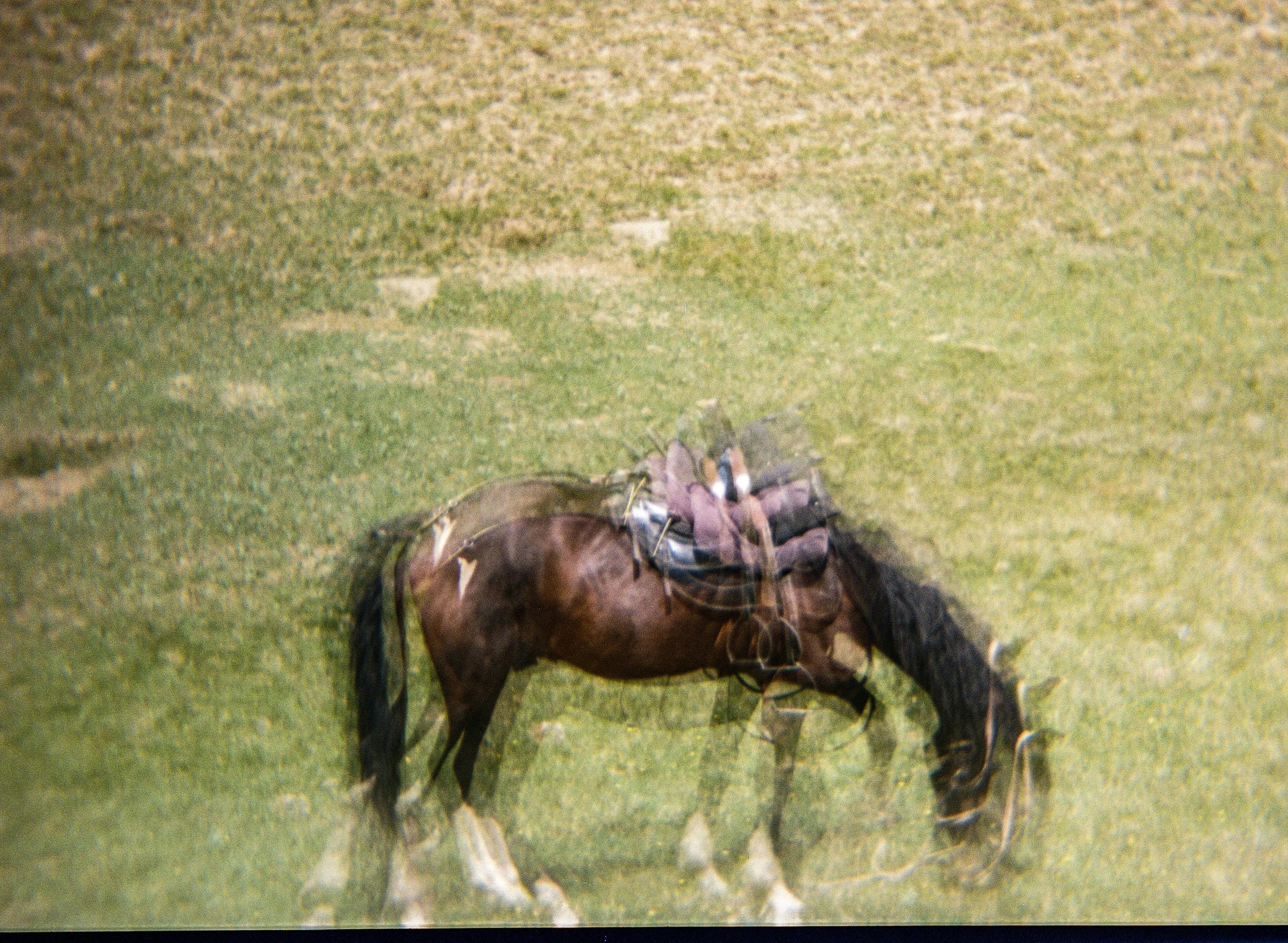 Kyrgyzstan-Film-11.jpg