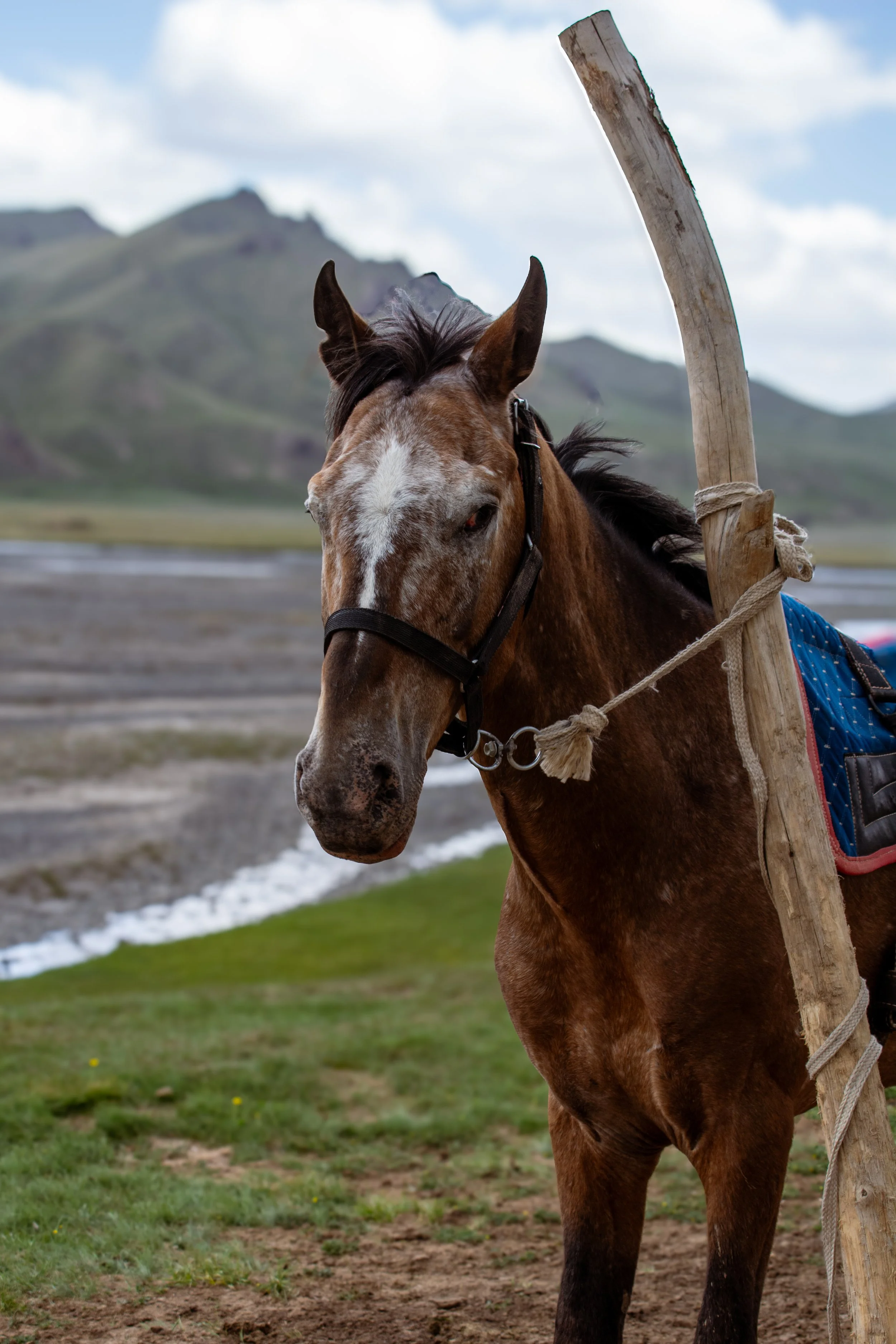 Kyrgyzstan-234.jpg