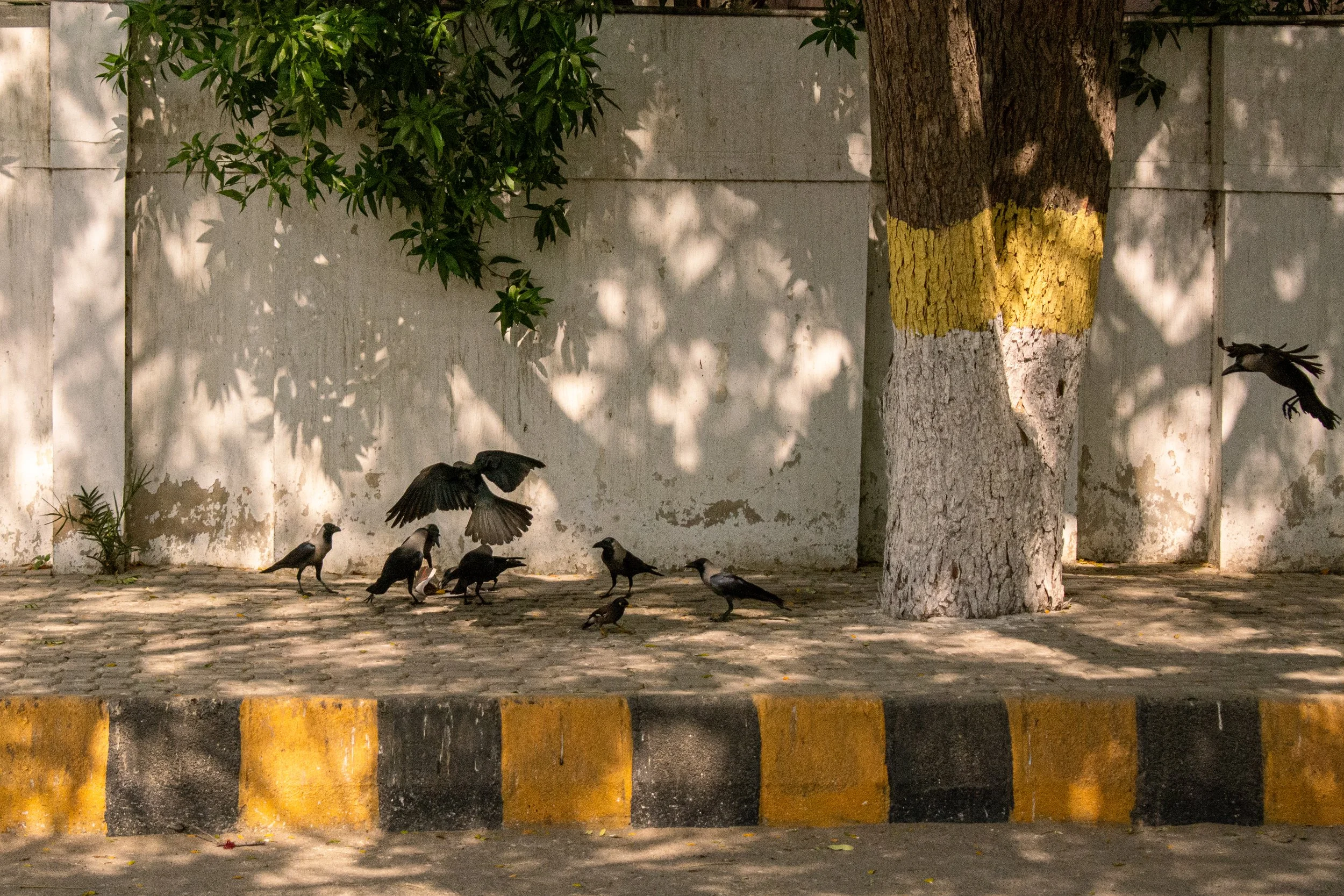 Pakistan 24.jpg