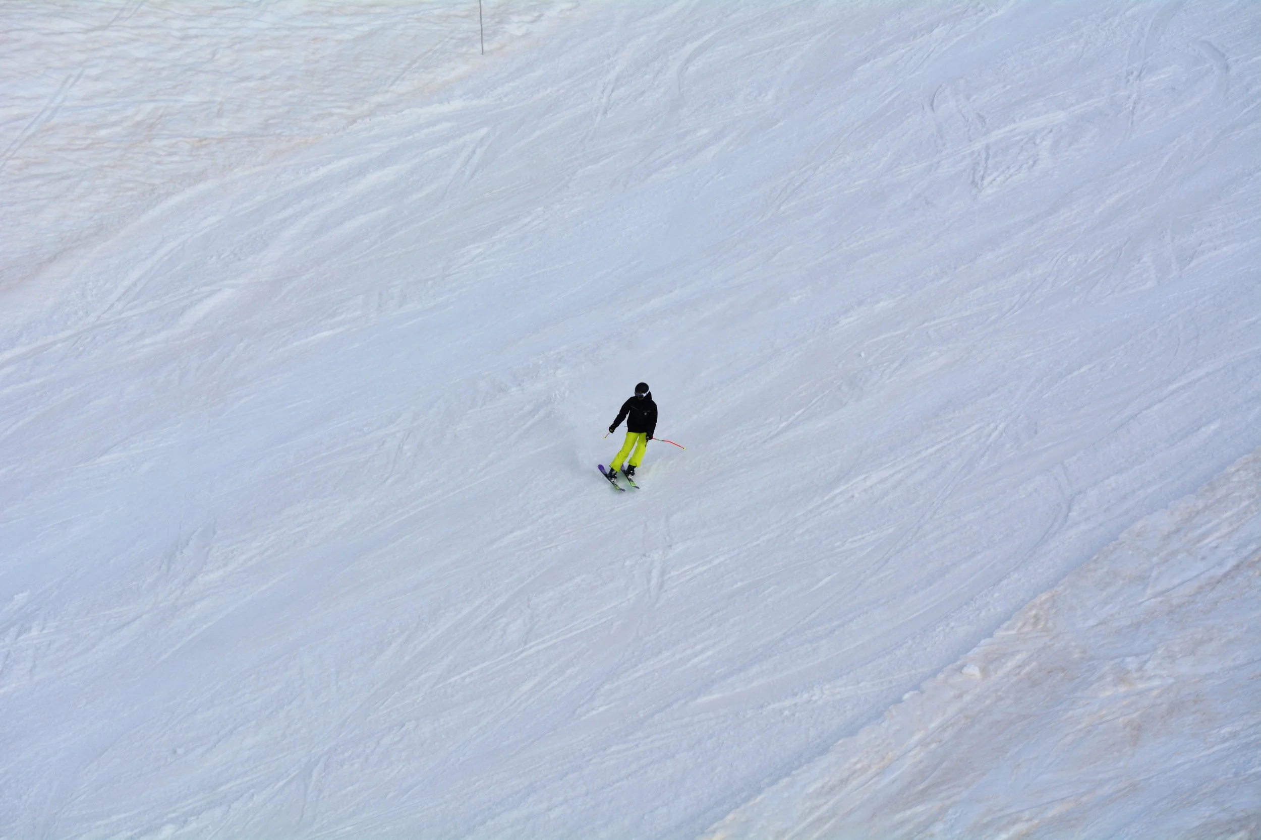 DSC_8370__01.jpg