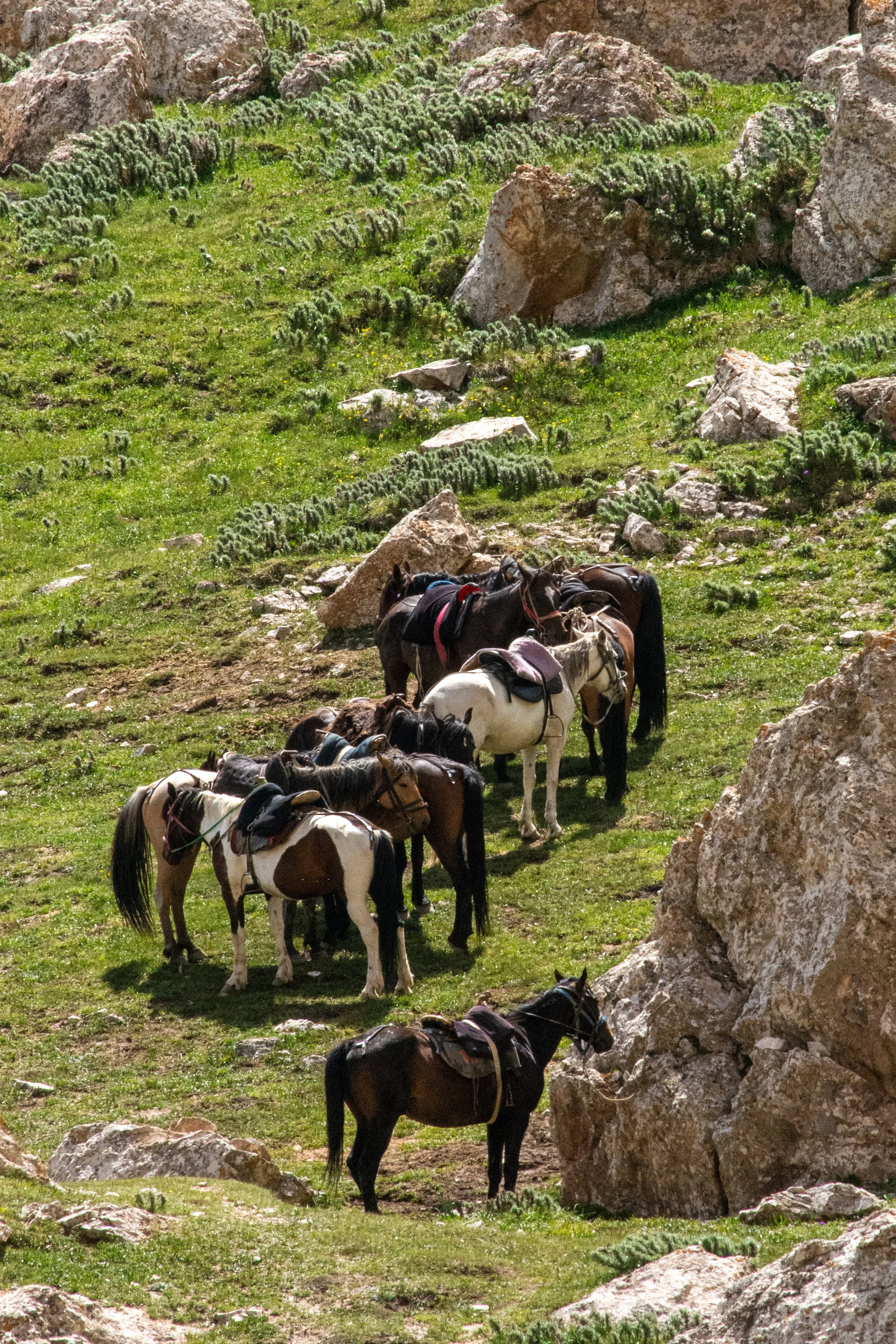 Kyrgyzstan-076.jpg