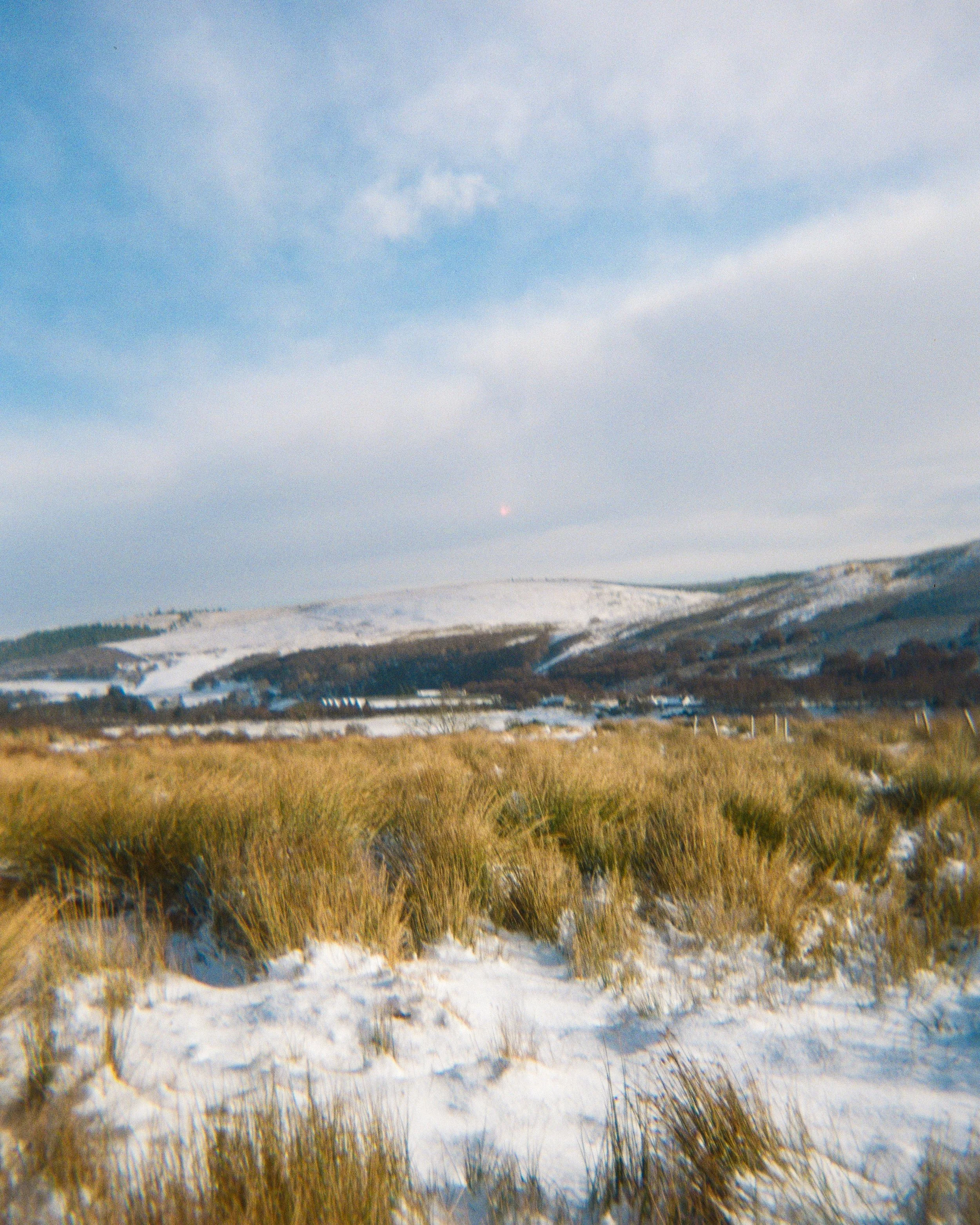 Cairngorms Film-4.jpg