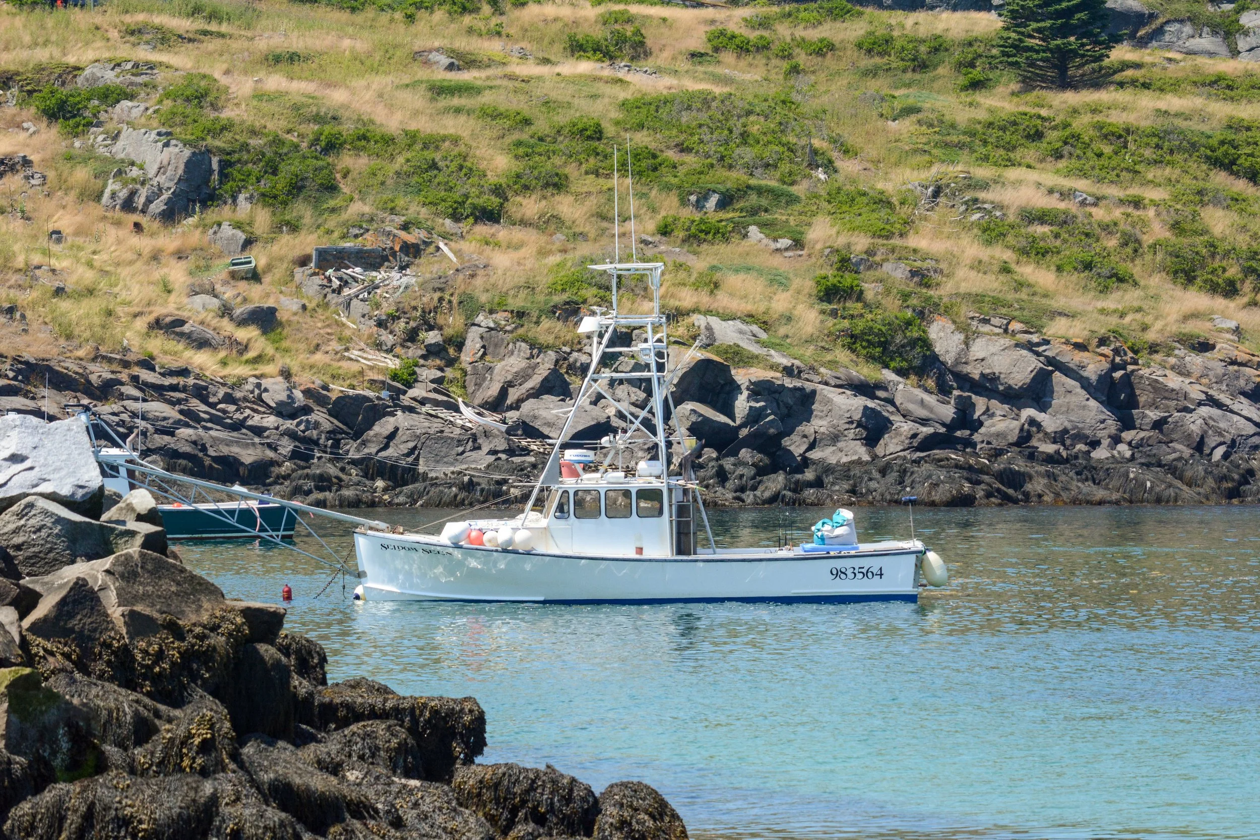 Maine-157.jpg