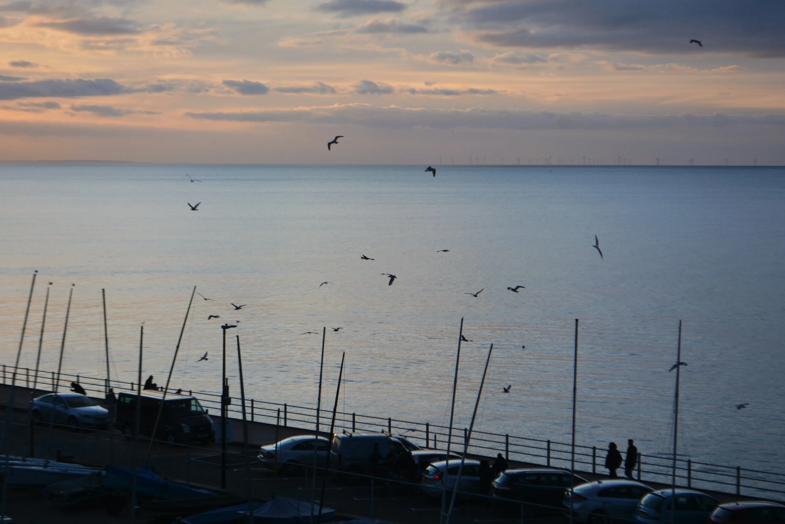 DSC_7856__01.jpg