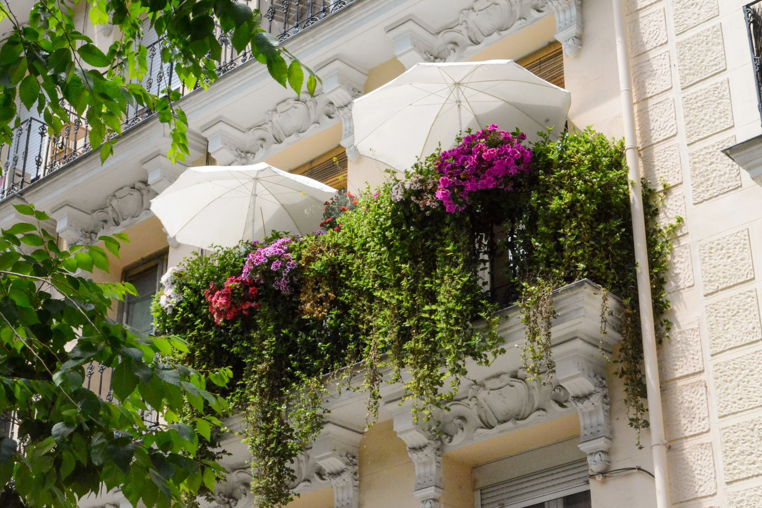 Madrid-112.jpg