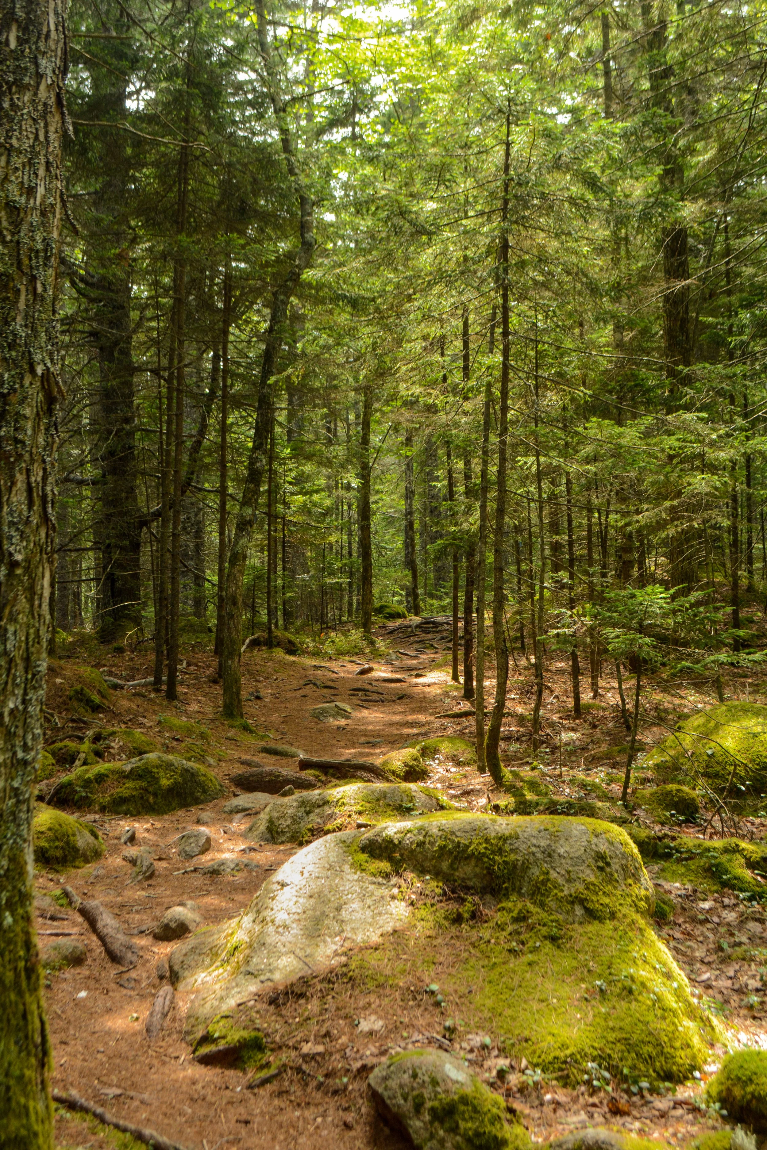 Maine-108.jpg