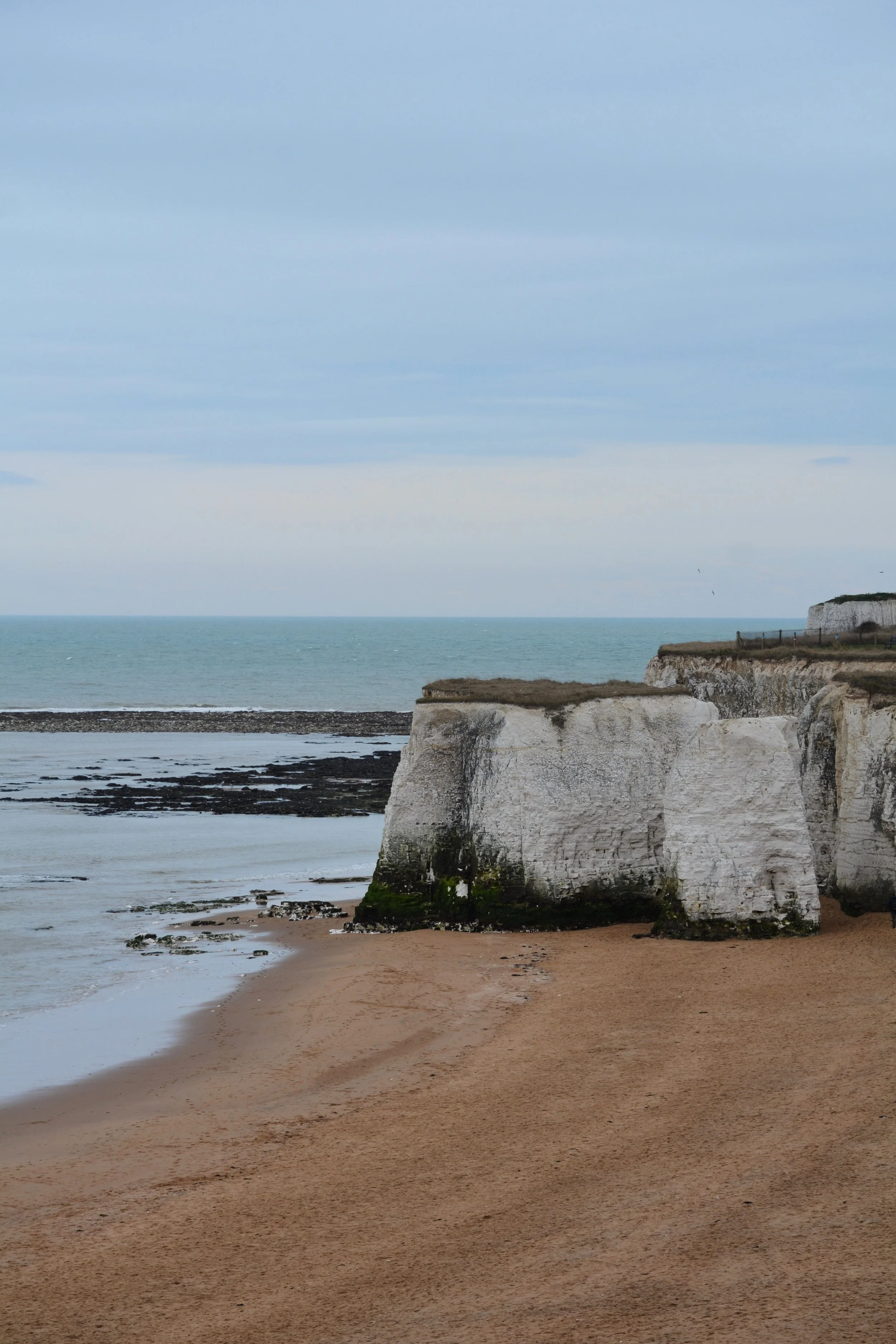 DSC_8006__01.jpg