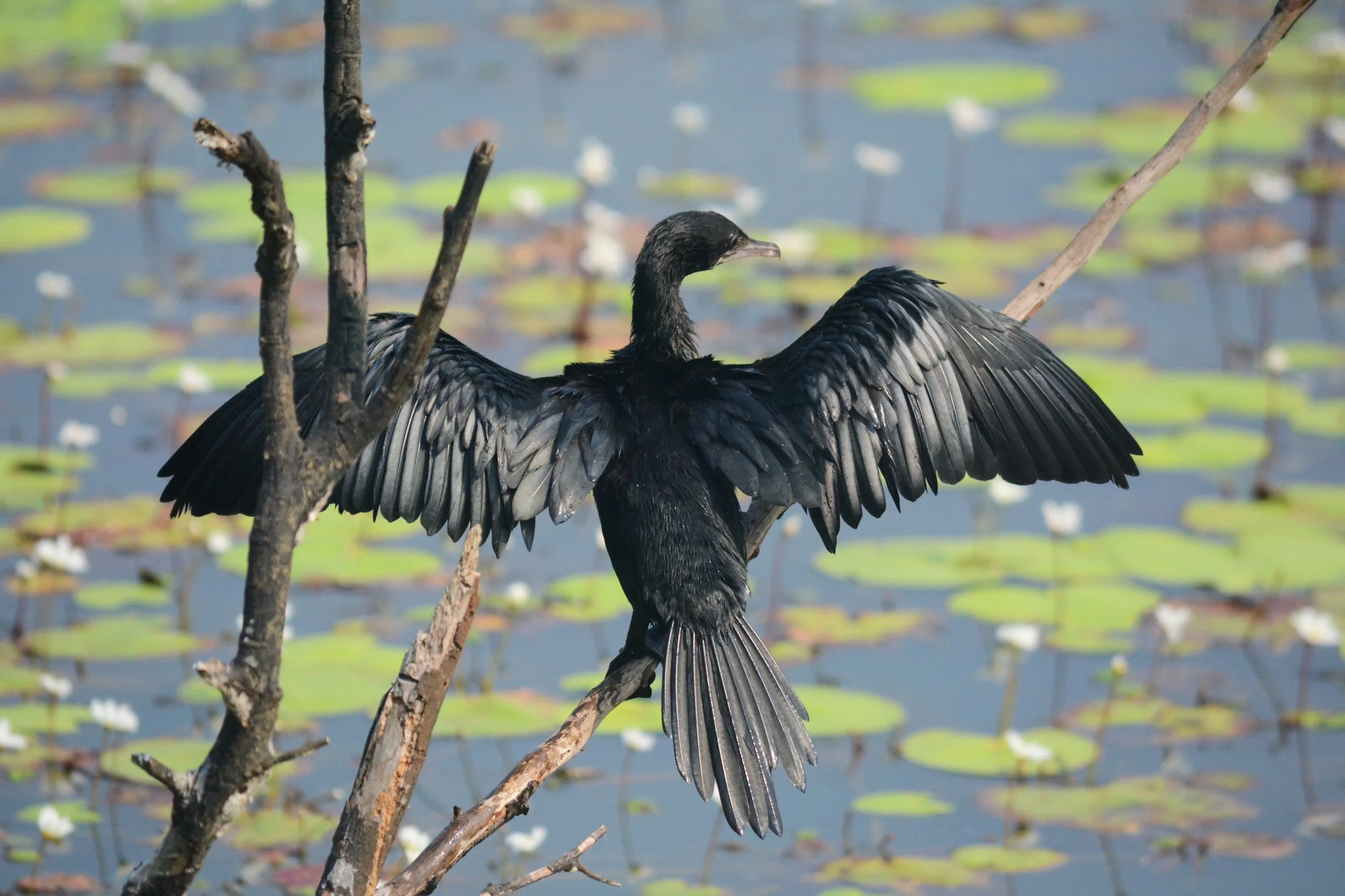 DSC_0576 (1)__01.jpg