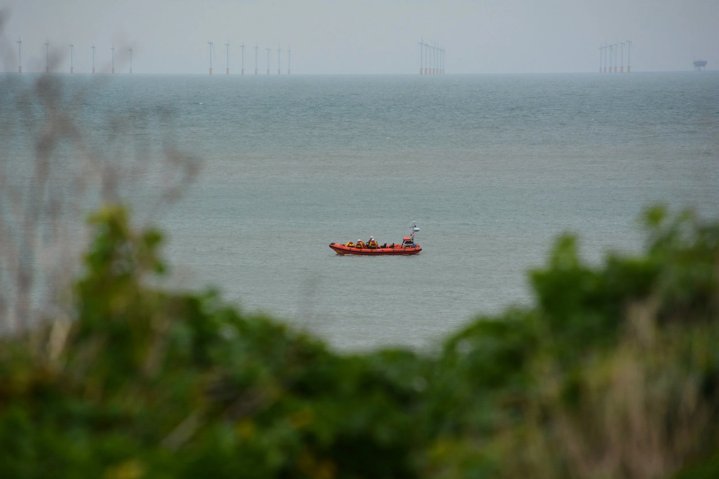 DSC_7999__01.jpg