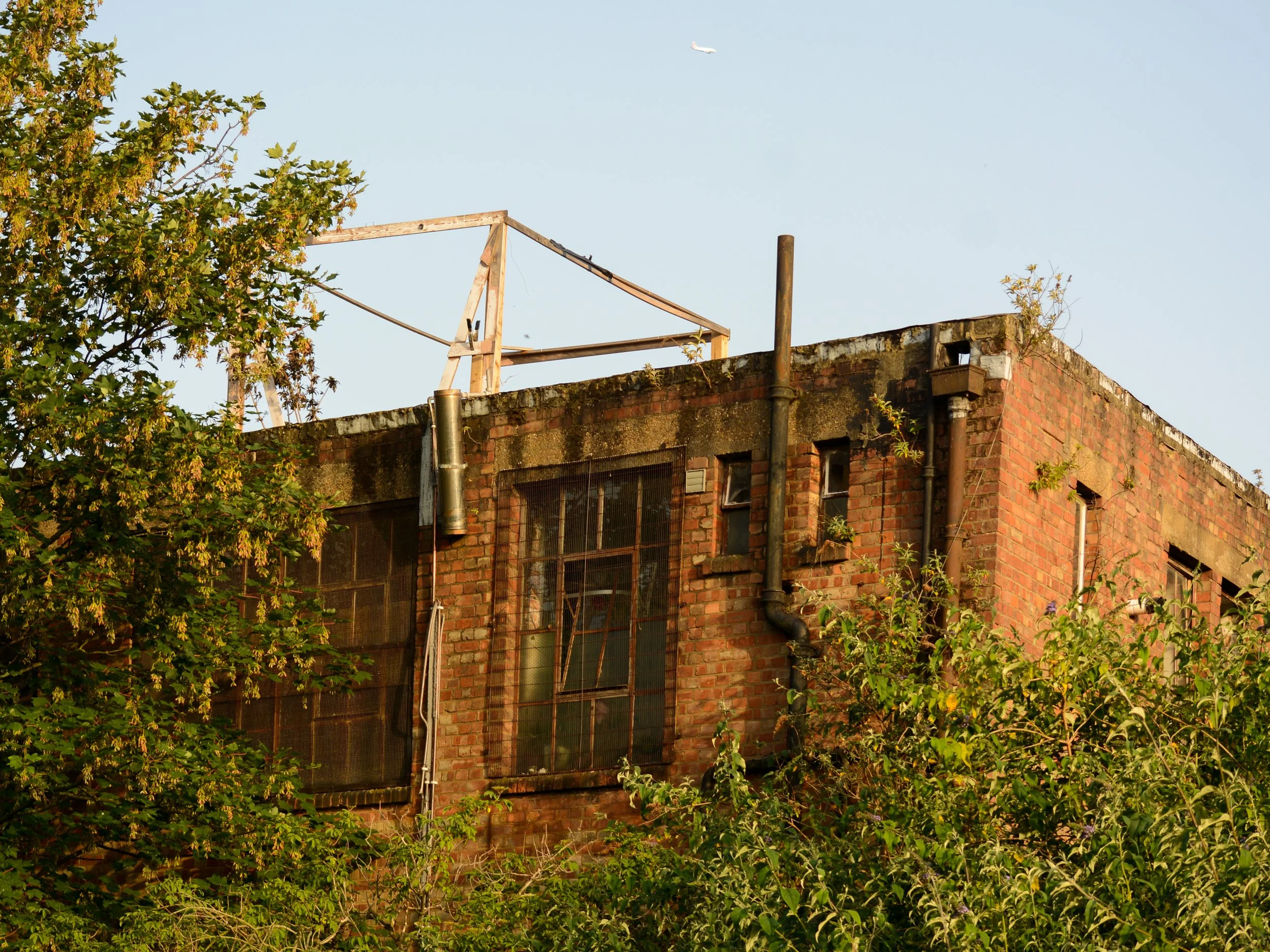Hackney-64.jpg