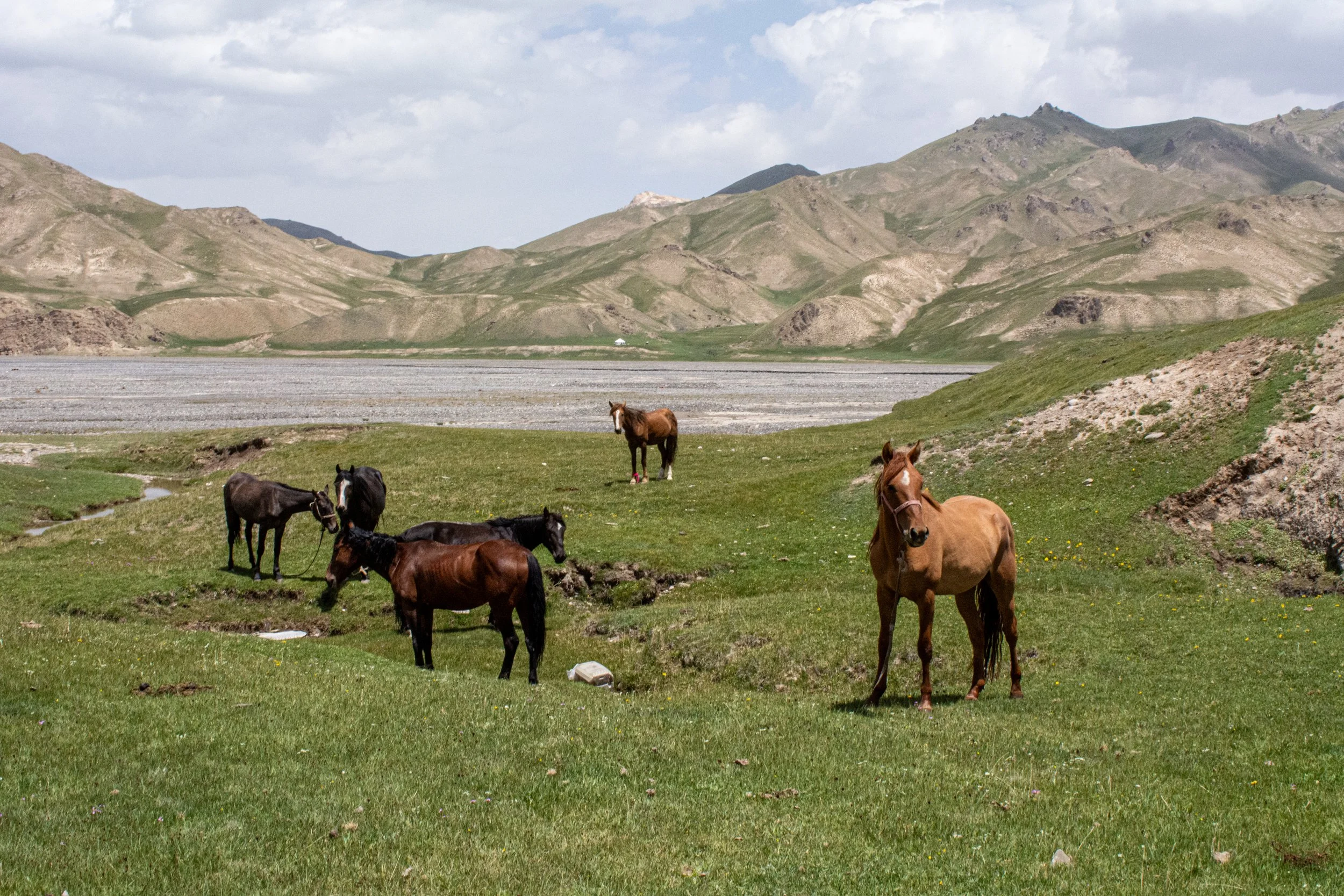 Kyrgyzstan-036.jpg