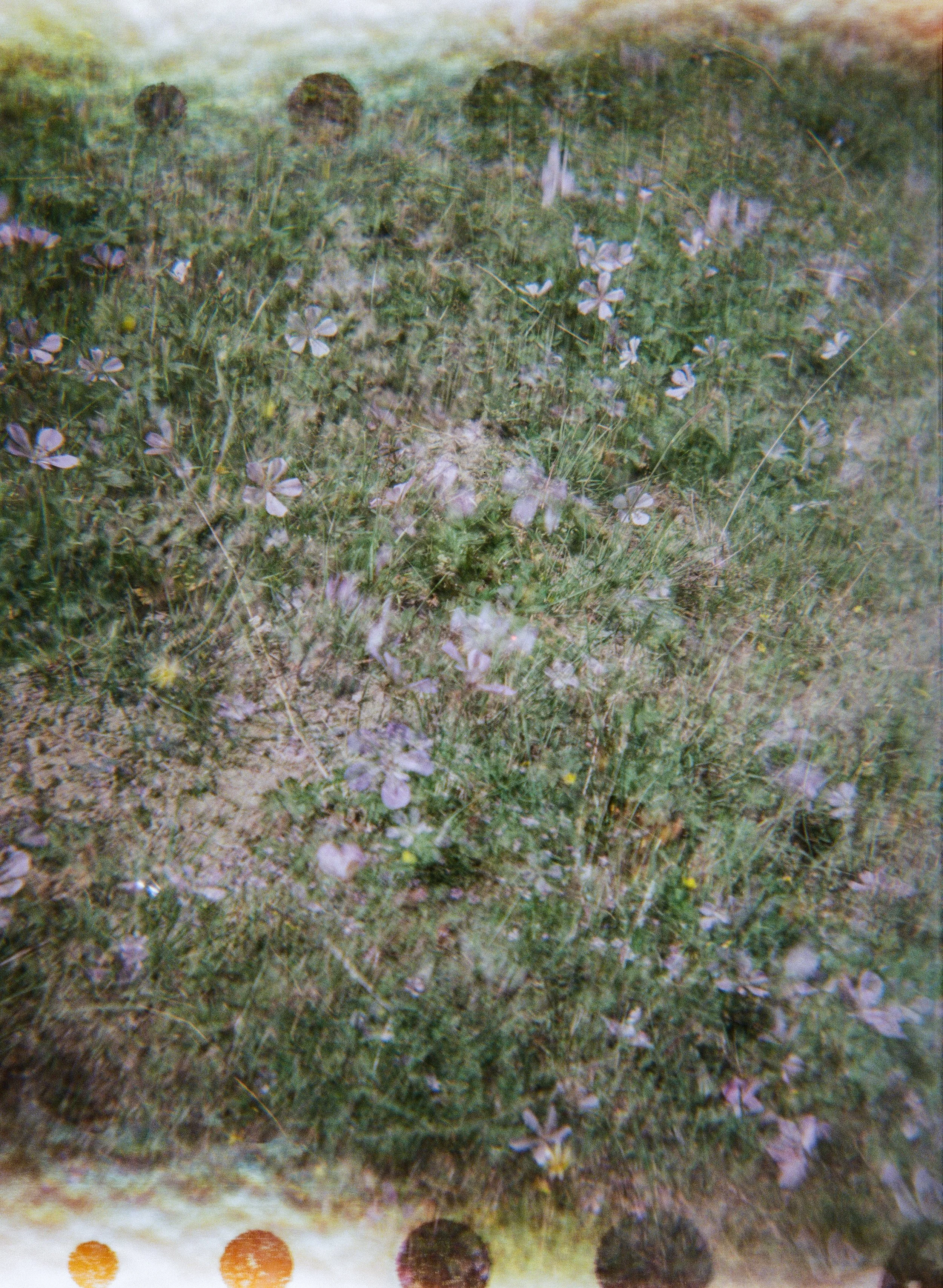 Kyrgyzstan-Film-7.jpg