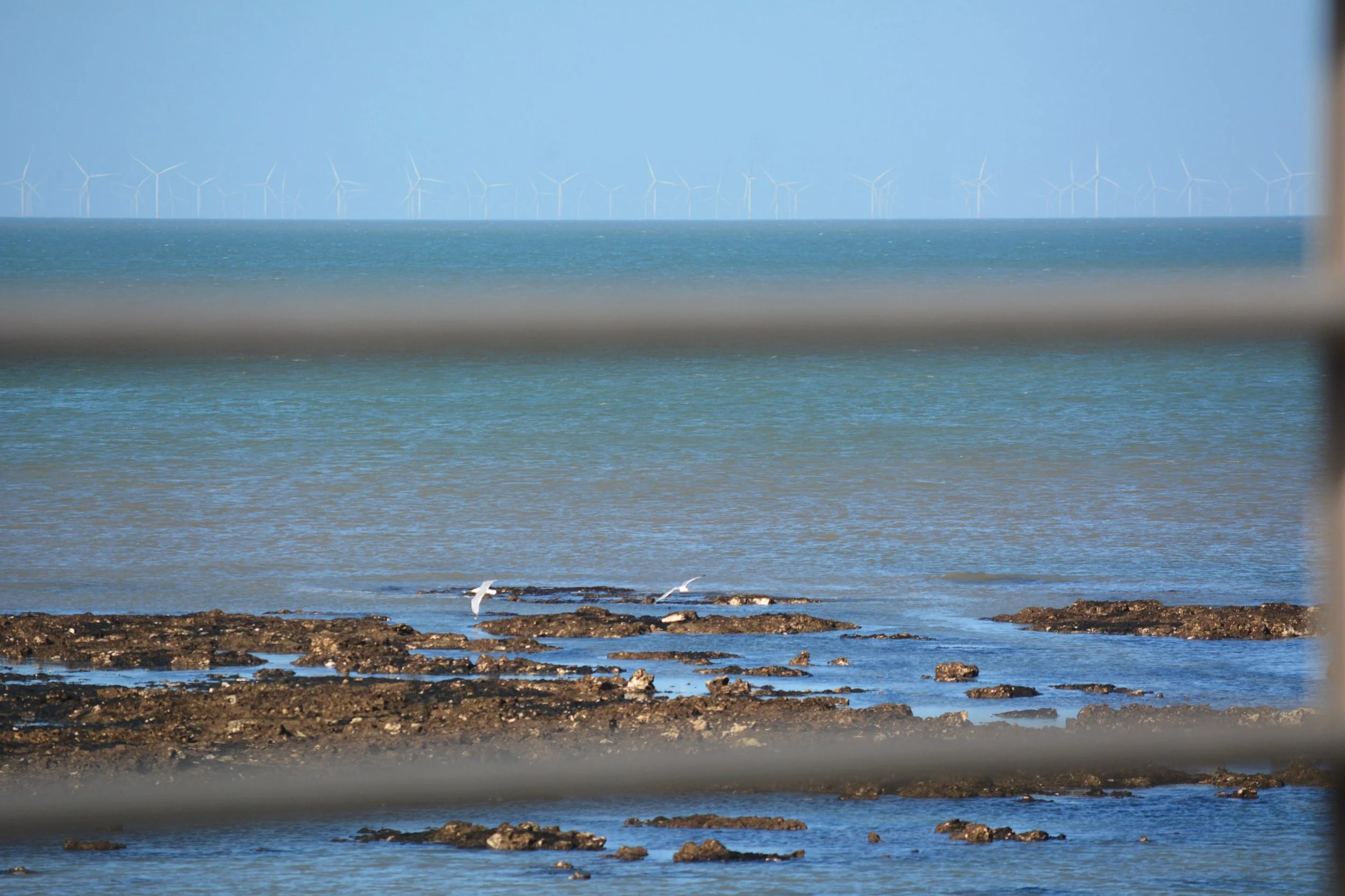 DSC_7685__01.jpg