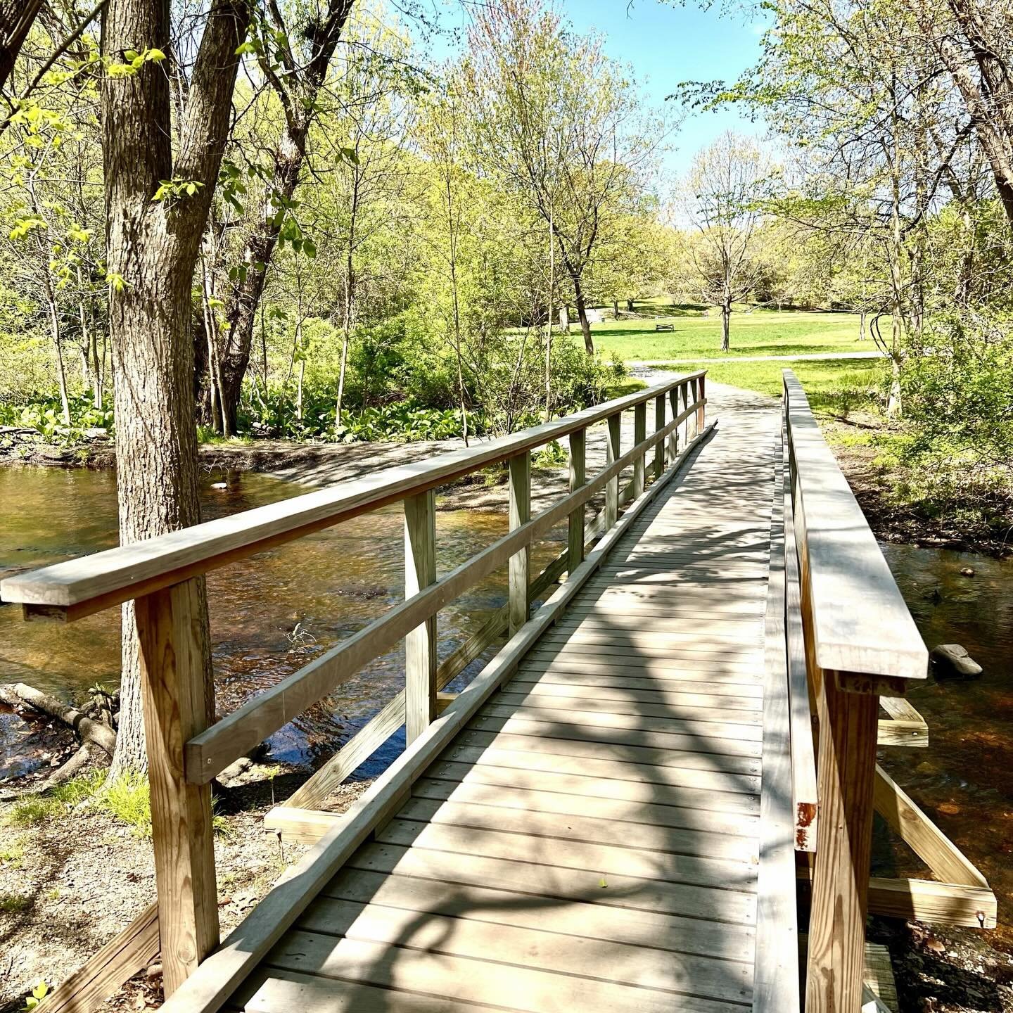 Mentally, we&rsquo;re here. Now just waiting for New England to catch up. 🙄☀️🌳

#Waltham #WaverleyOaks #BeaverBrookReservation