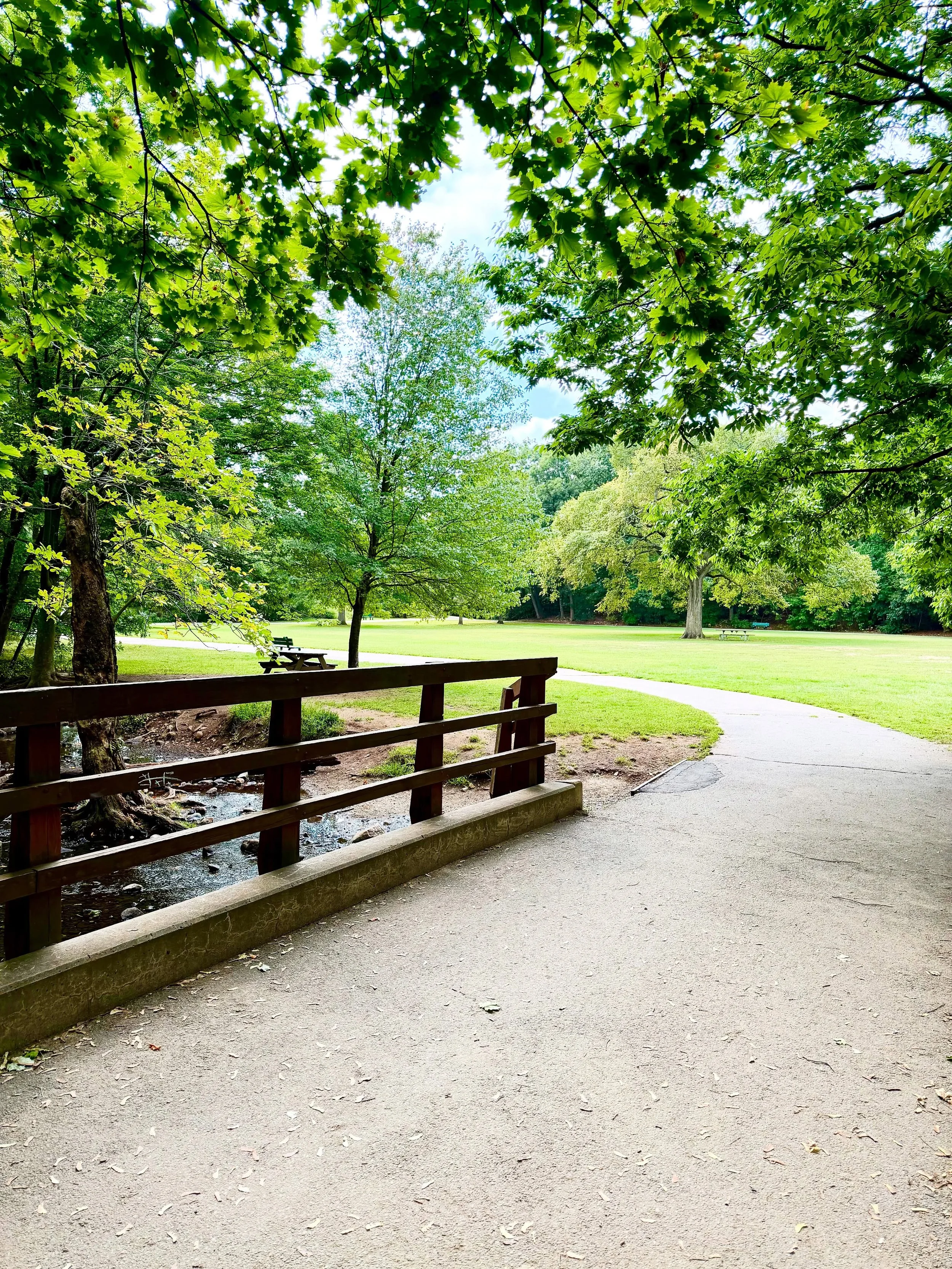 When September gives you 80&deg;, you take the long way back to the office. 🌳☀️😍

#Waltham #WaverleyOaks #DuffyProperties #BeaverBrookReservation