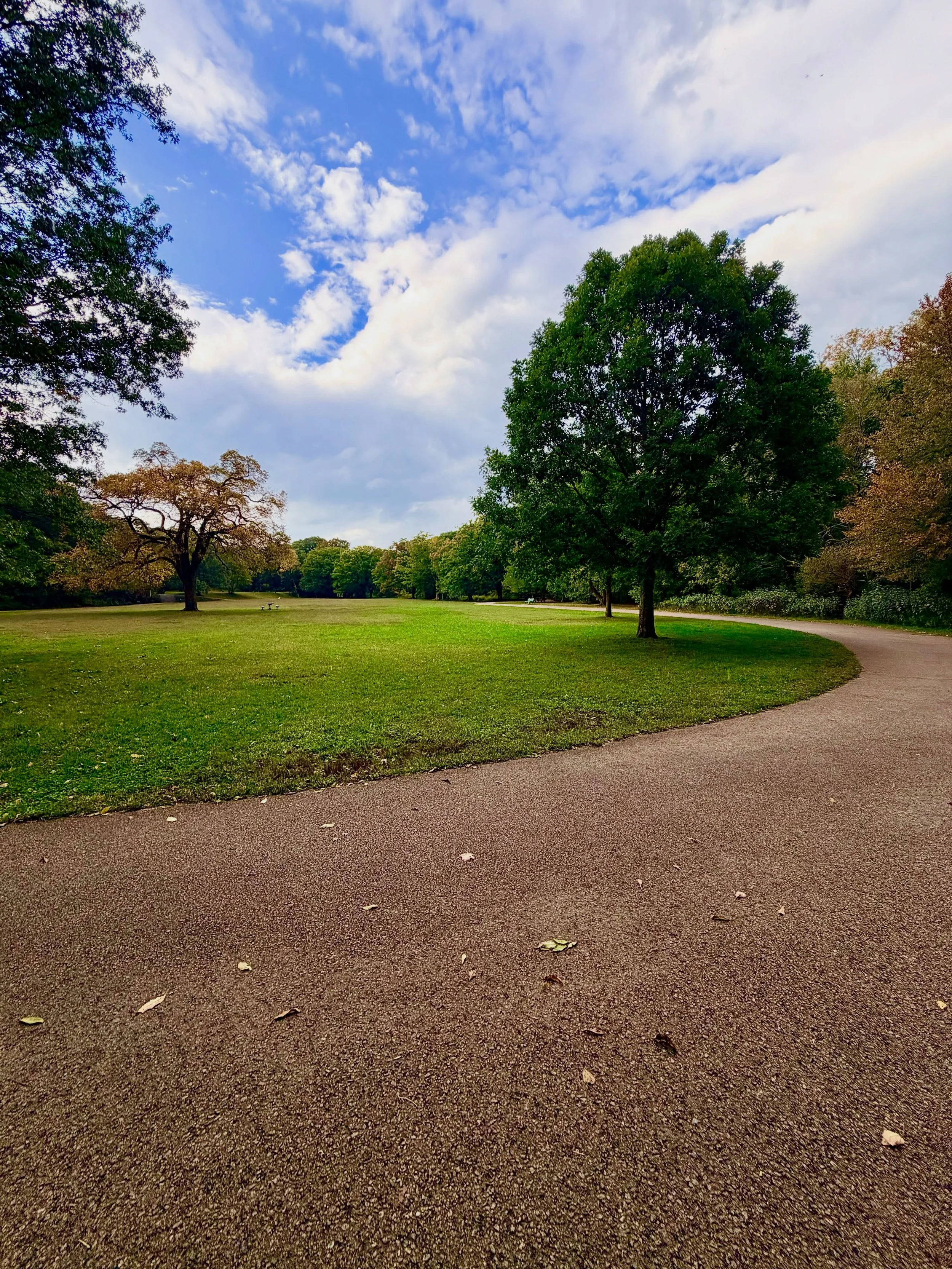 October said fall, but the forecast said summer. ☀️🍂 

#Waltham #WaverleyOaks #BeaverBrookReservation #IndianSummer