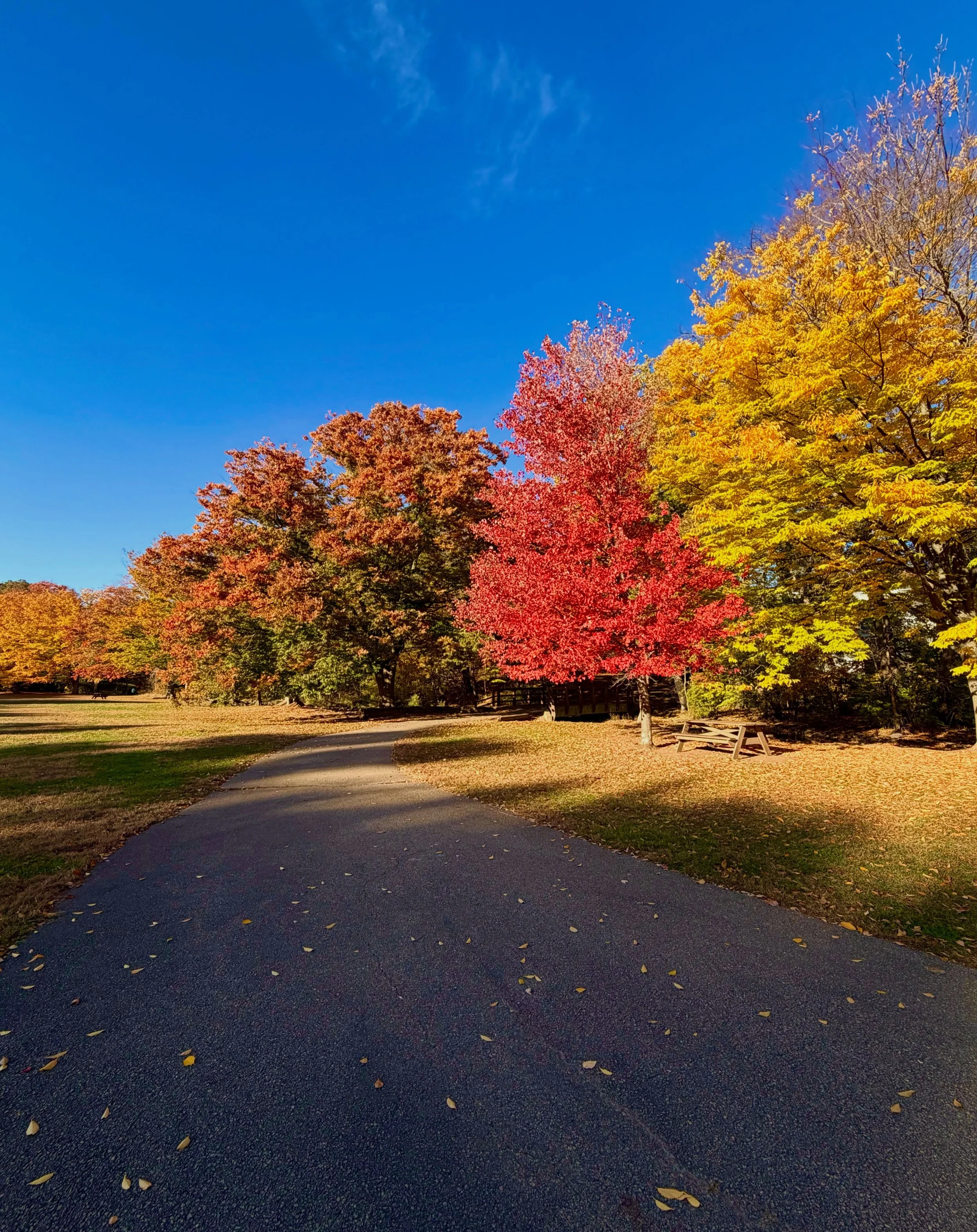 Fall colors &amp; 70-degree sunshine 🍂☀️ Can we hit pause?