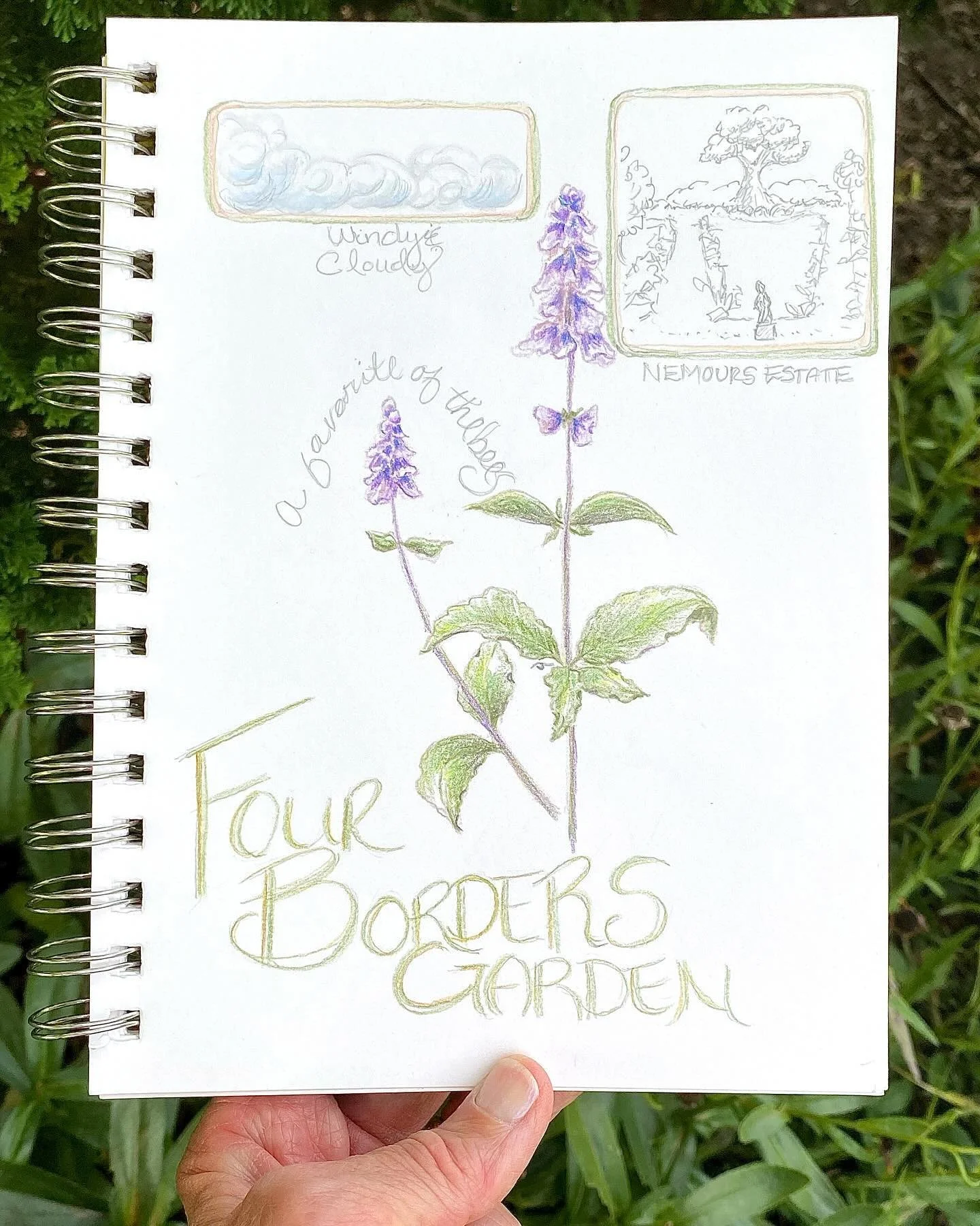 Fall is here and once again I&rsquo;m leading two Nature Journaling workshops at Nemours Estate as part of their Wellbeing Programming! 
I hope you&rsquo;ll join me in the Estate gardens to explore and connect with nature in a relaxed and inspiring s