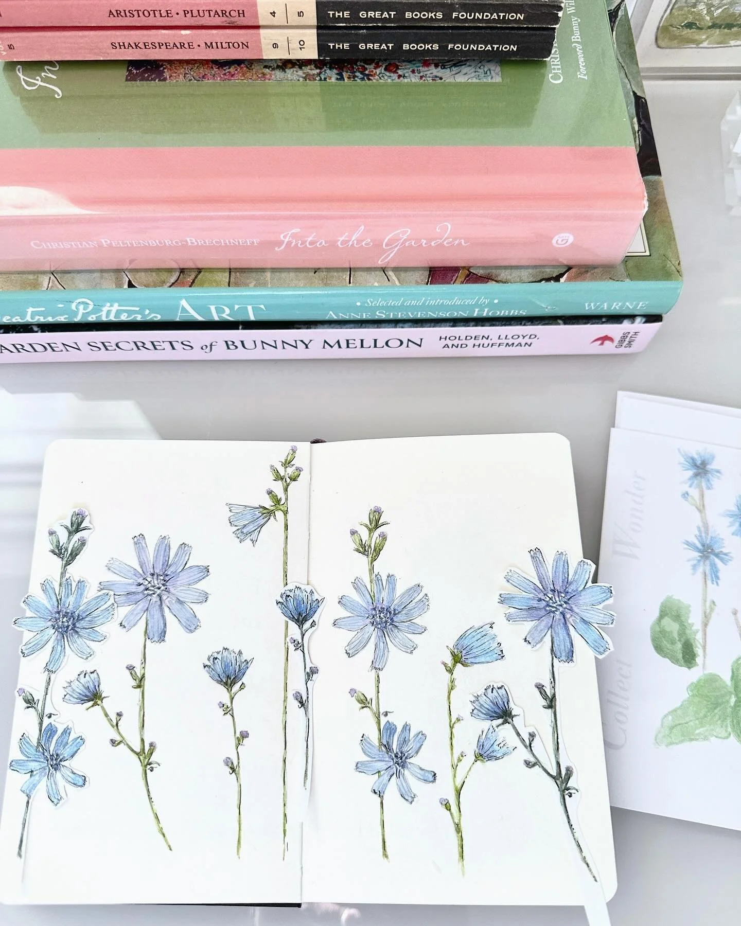 Throughout the summer and fall I made a lot of little sketches of the cheerful Chicory flowers that were blooming along the trail behind the old Ramsey farm house.
Even through weeks of drought, I&rsquo;d come over the hill and there they would be, v
