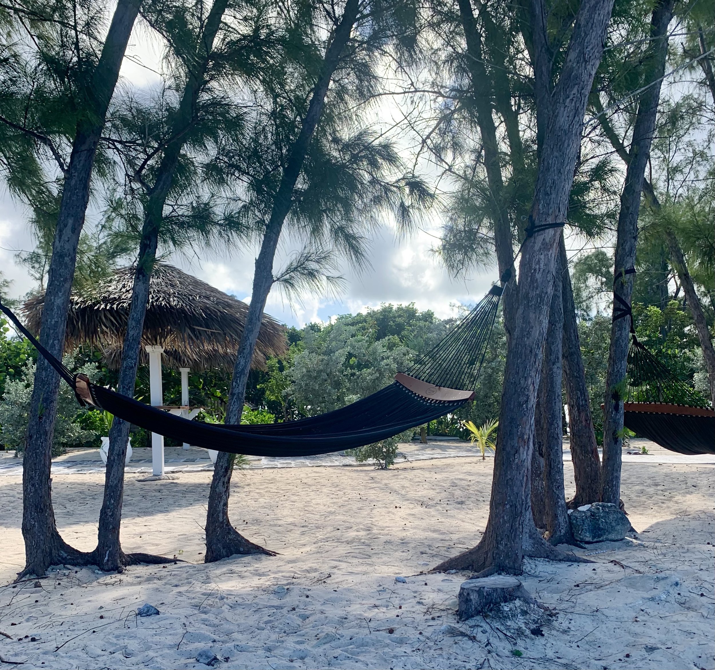 hammock.jpeg