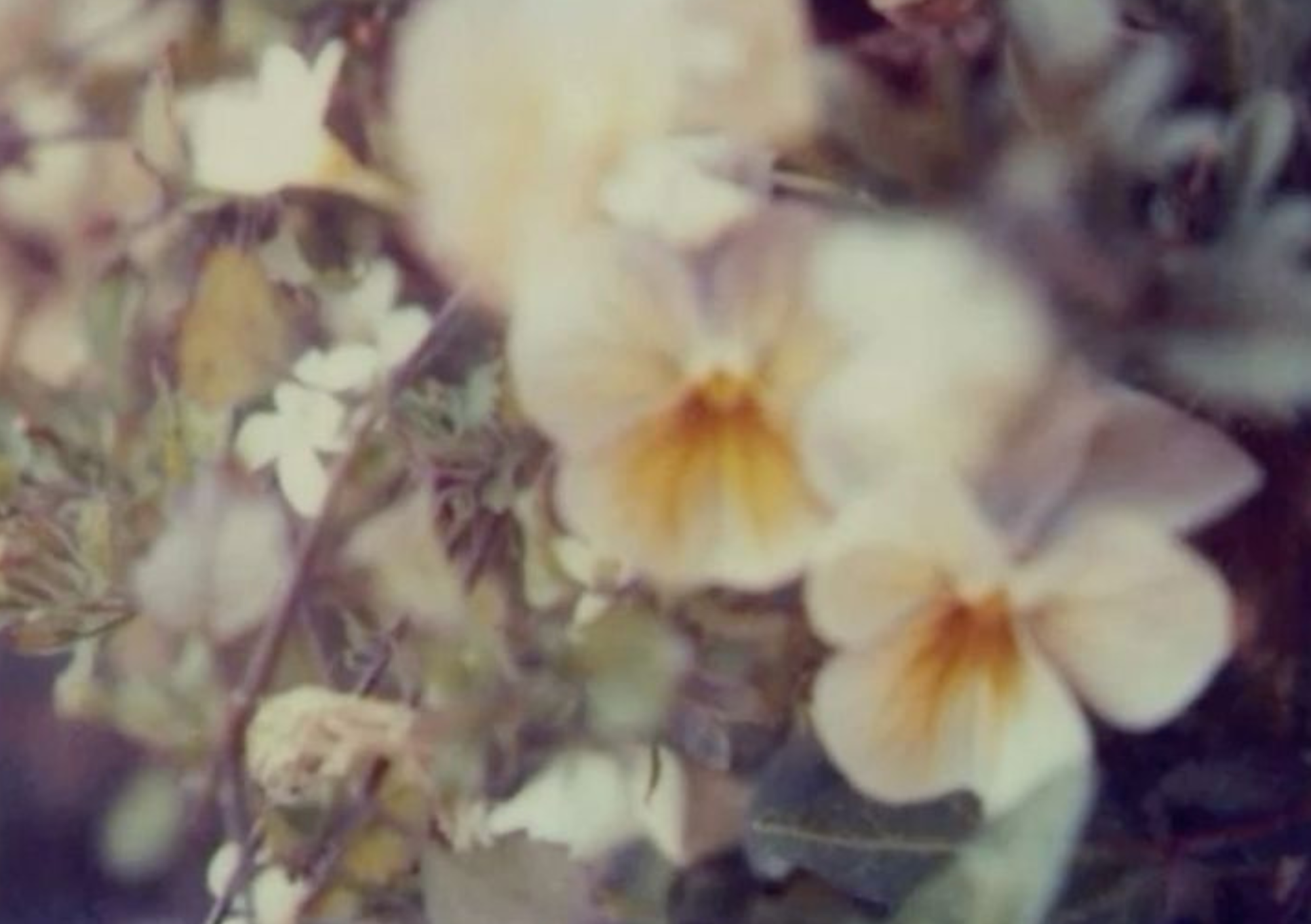 EXPOSITION COLLECTIVE