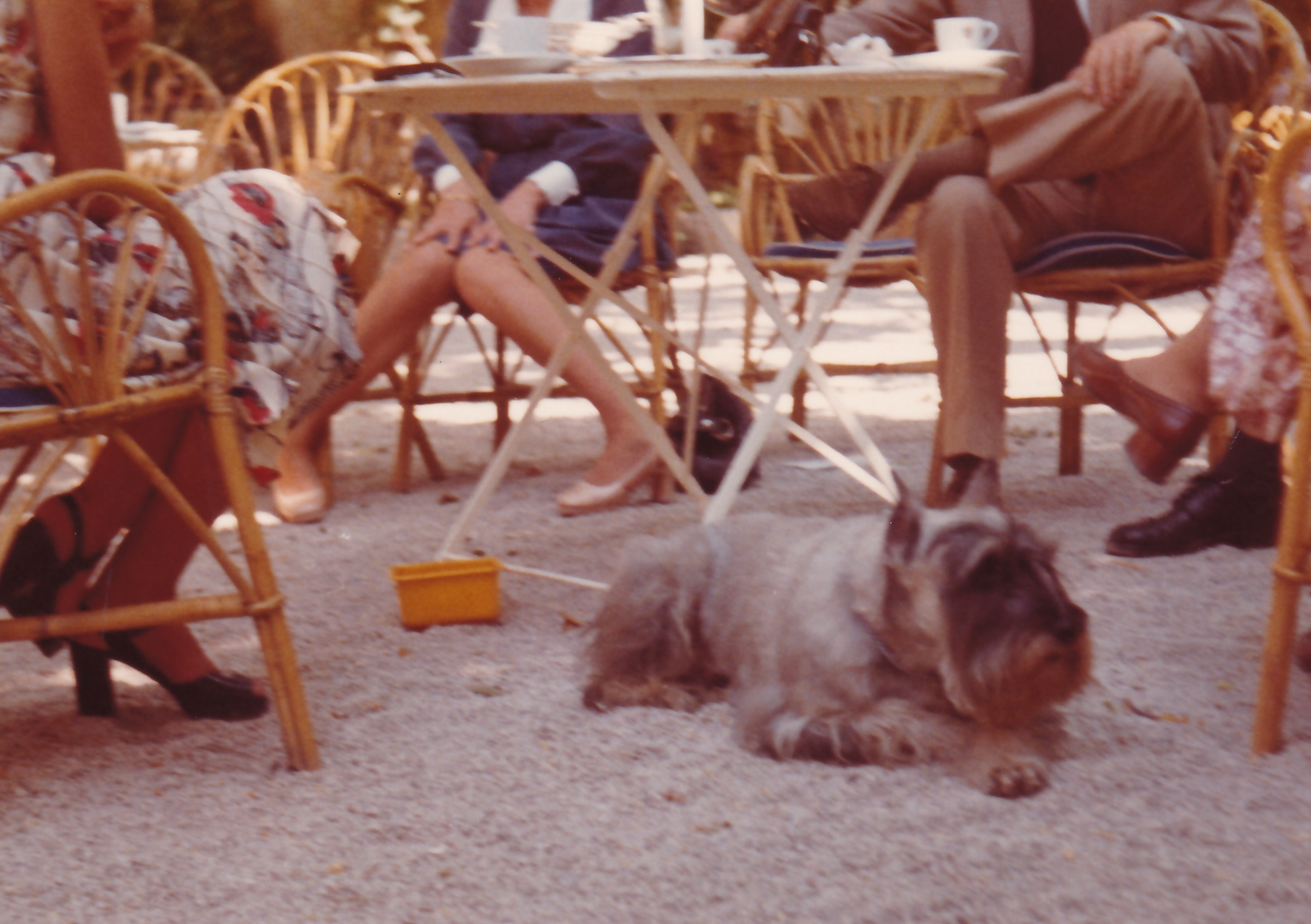 LES ATELIERS CRÉATIFS