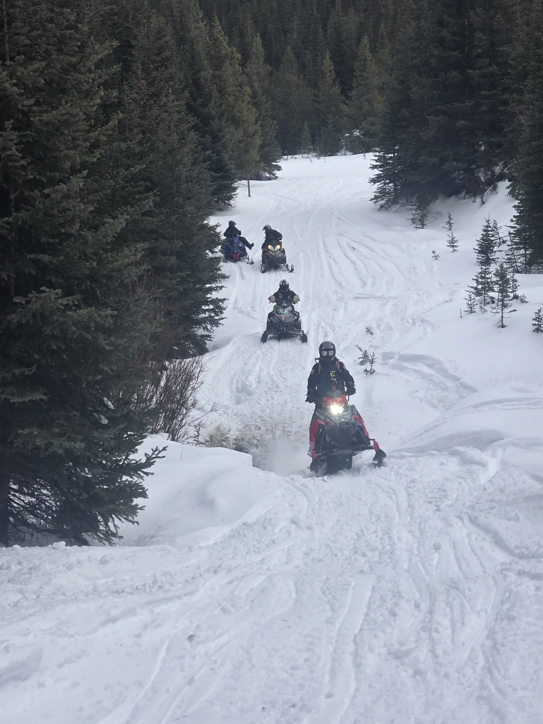 Group of snowmobilers riding snowmobiles through a snowy trail surrounded by dense evergreen trees in a winter forest.