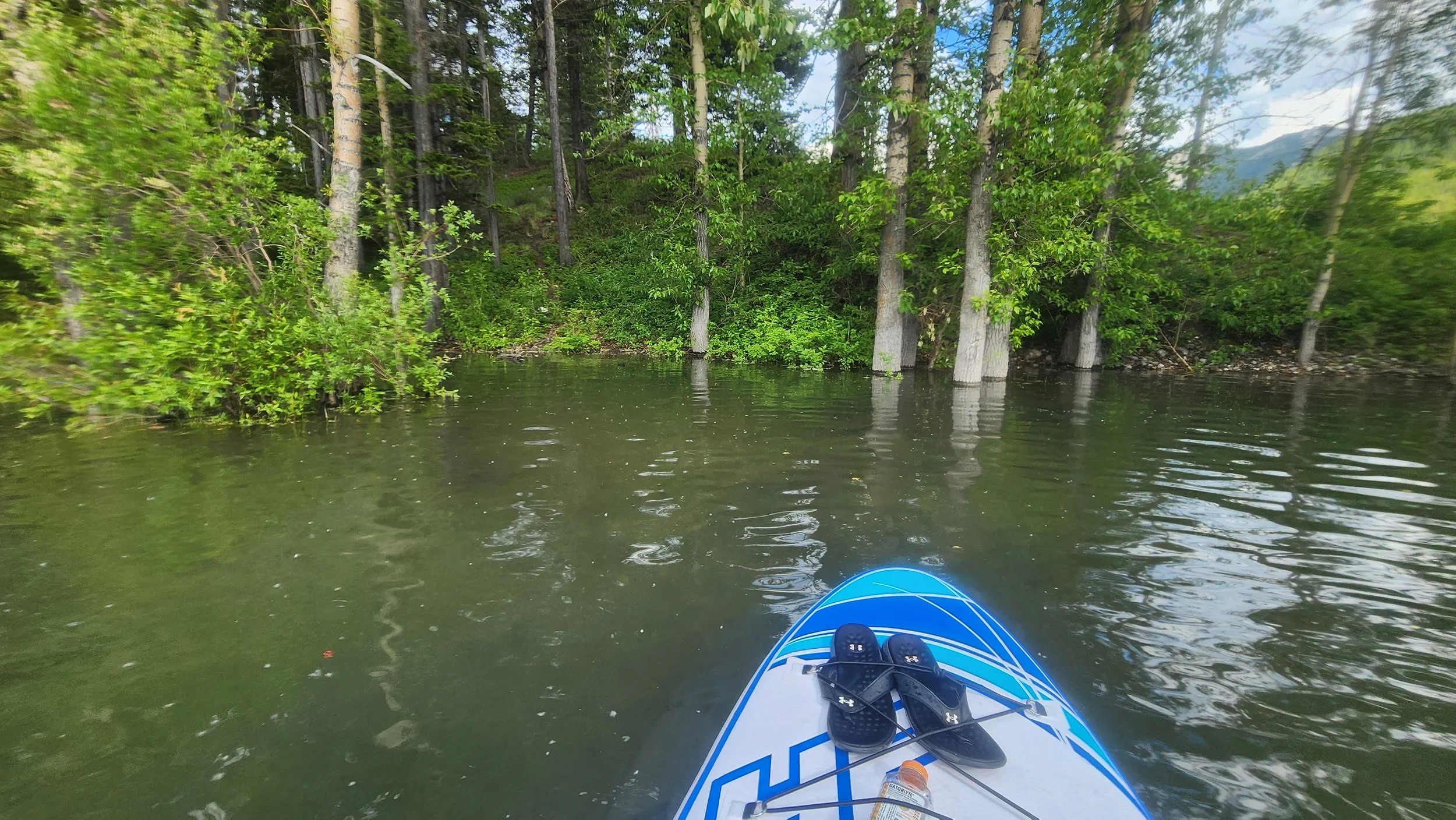 View from a paddleboard on a calm river with green trees along the shoreline and partly cloudy sky in the background.