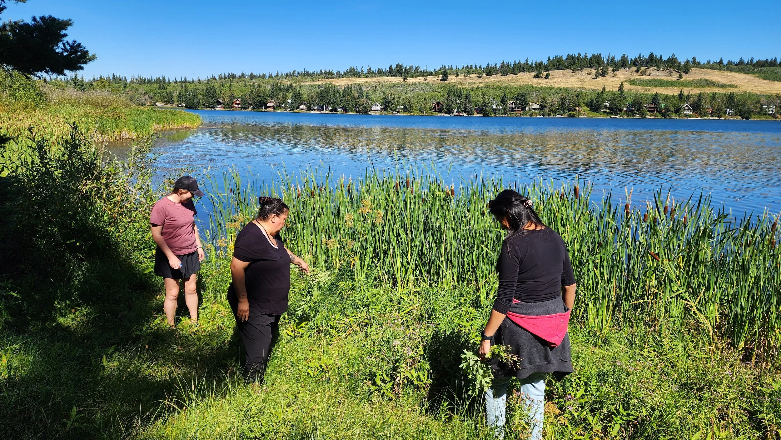 Three women gather near a lake's edge surrounded by tall green reeds and grass, with a forested hillside and houses visible across the water under a clear blue sky.