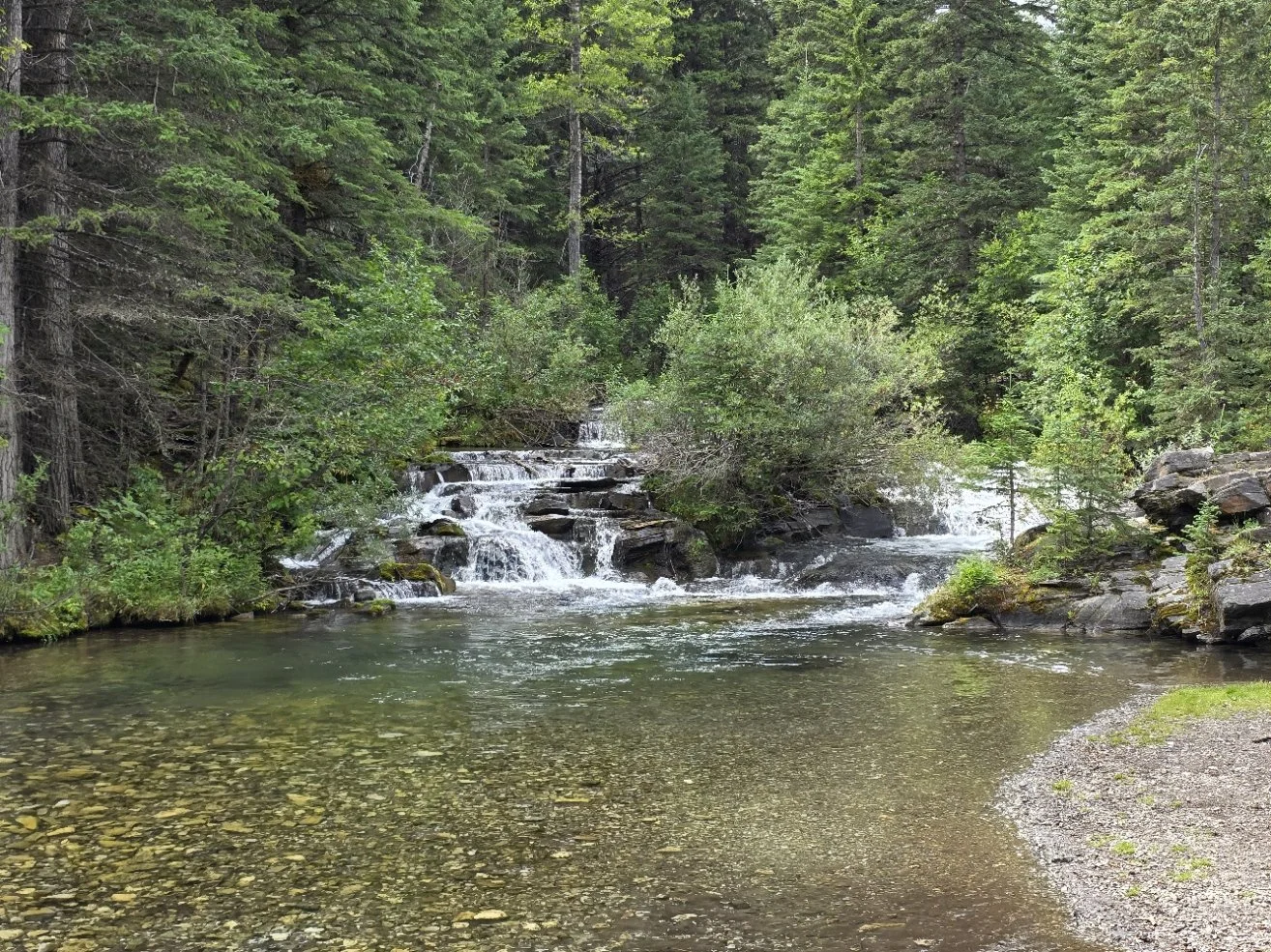 A peaceful forest scene with a small cascading waterfall flowing into a clear, shallow river surrounded by lush green trees and rocks.