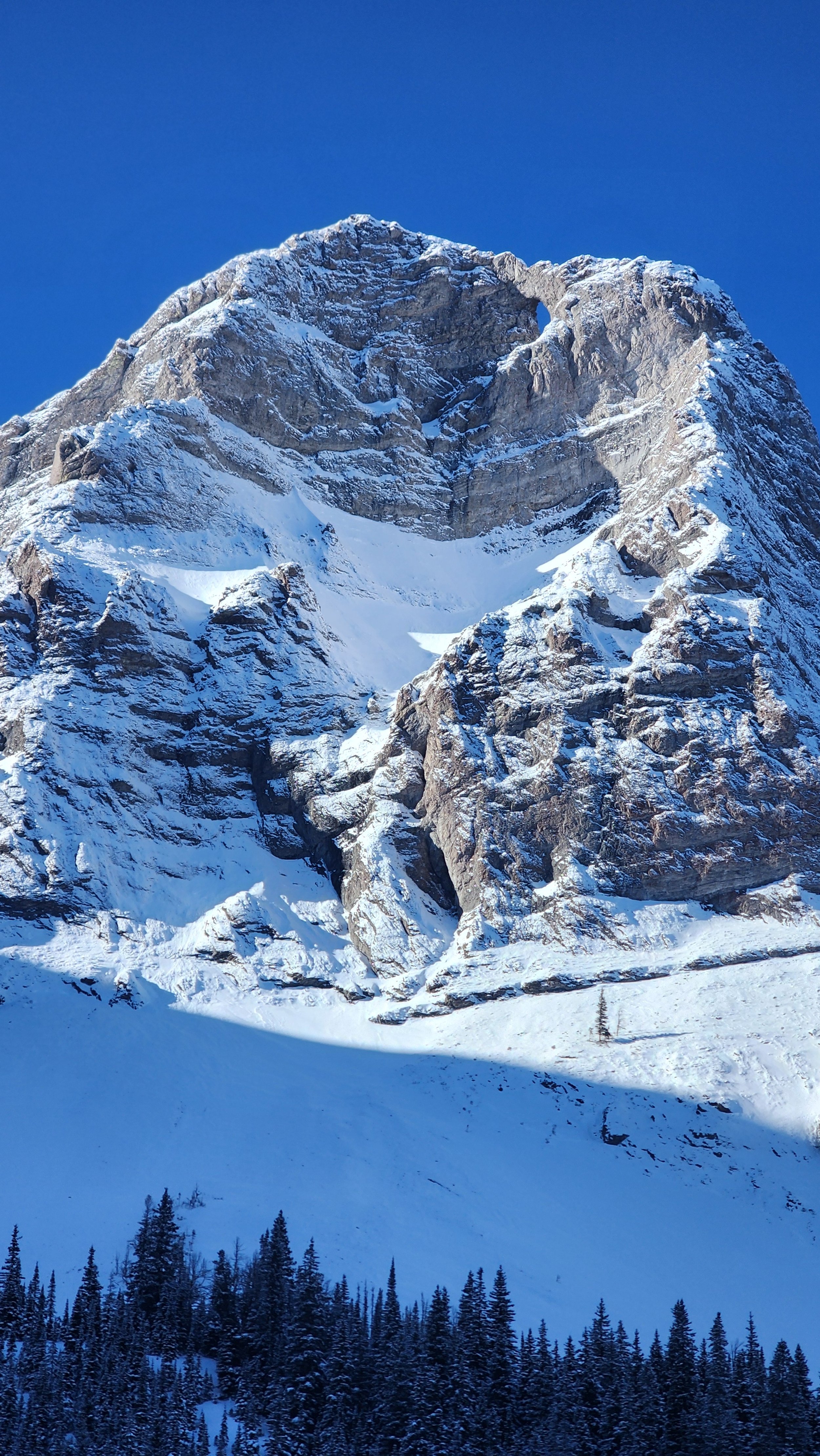 Snow-covered mountain with a large natural arch and a forest of evergreen trees at the base under a clear blue sky.