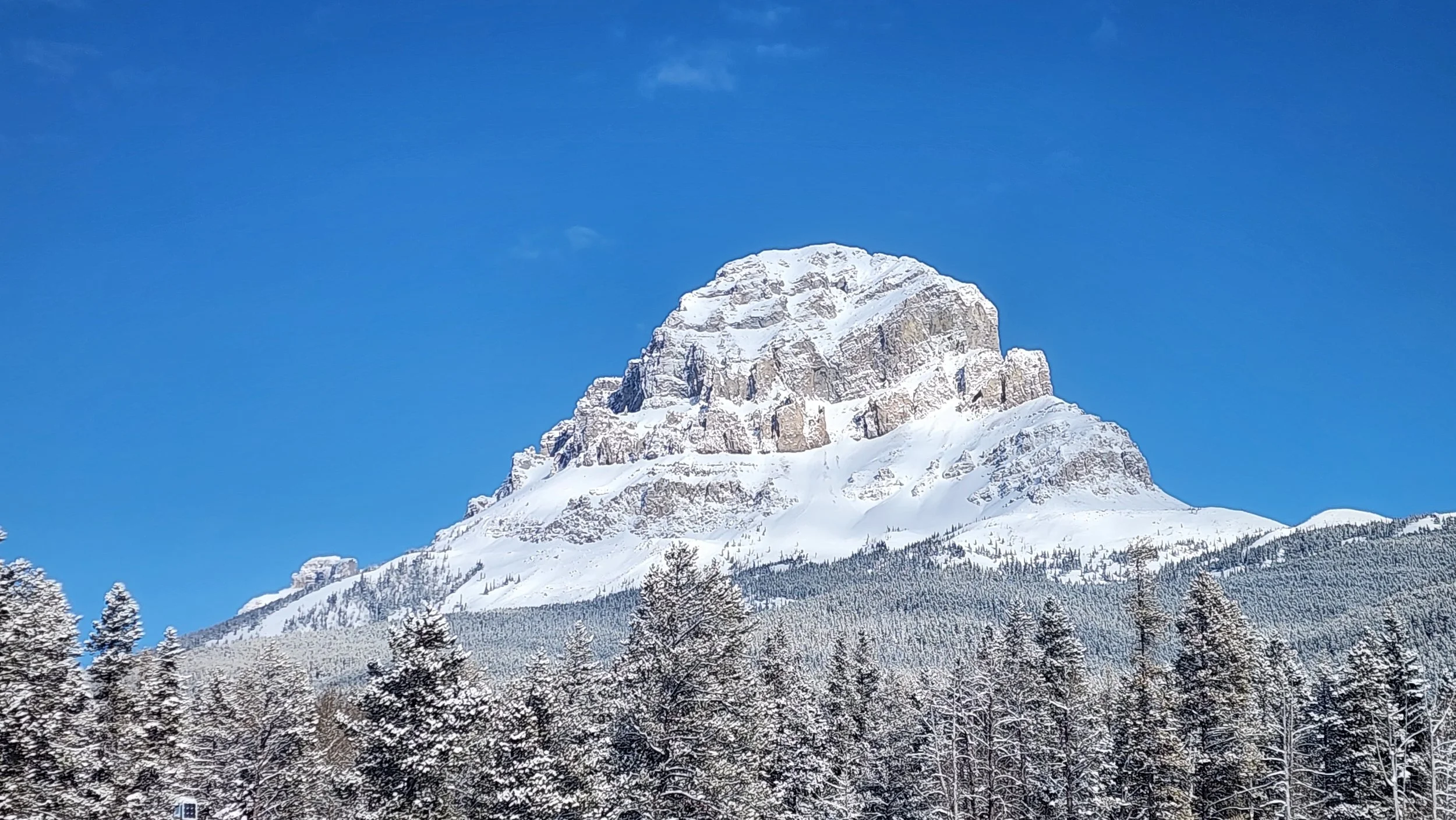 Snow-covered mountain peak with a clear blue sky and snow-laden pine trees in the foreground.