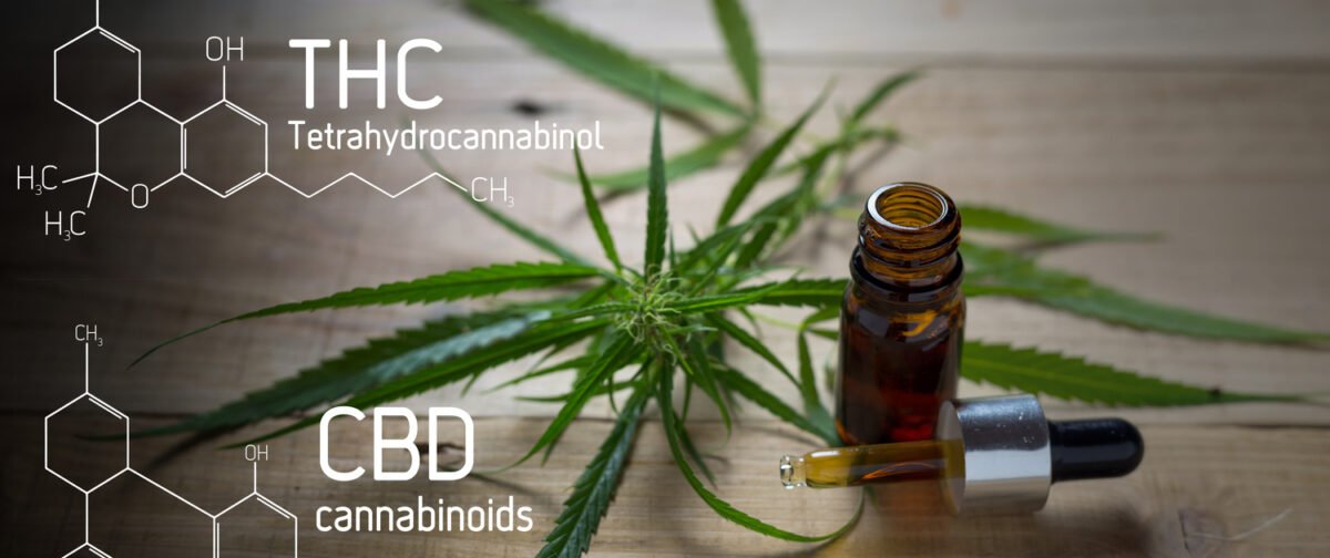 THC and its therapeutic potential