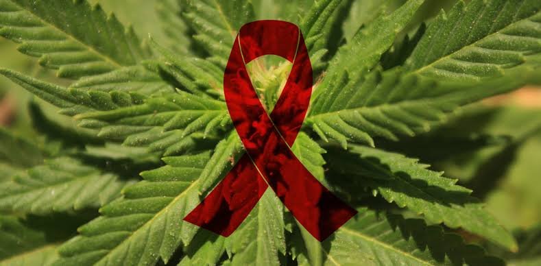 World AIDS Day: linking HIV activism and cannabis decriminalization