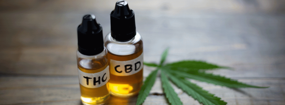 Getting to know CBD, THC and its benefits
