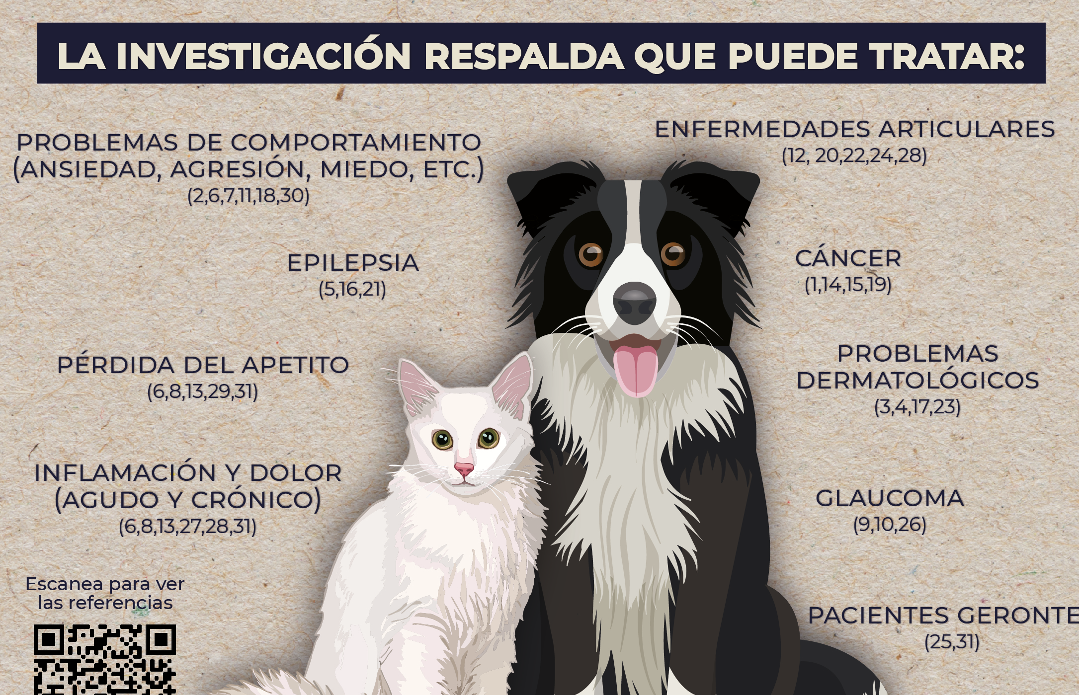 Infografía: Usos del CBD en perros y gatos