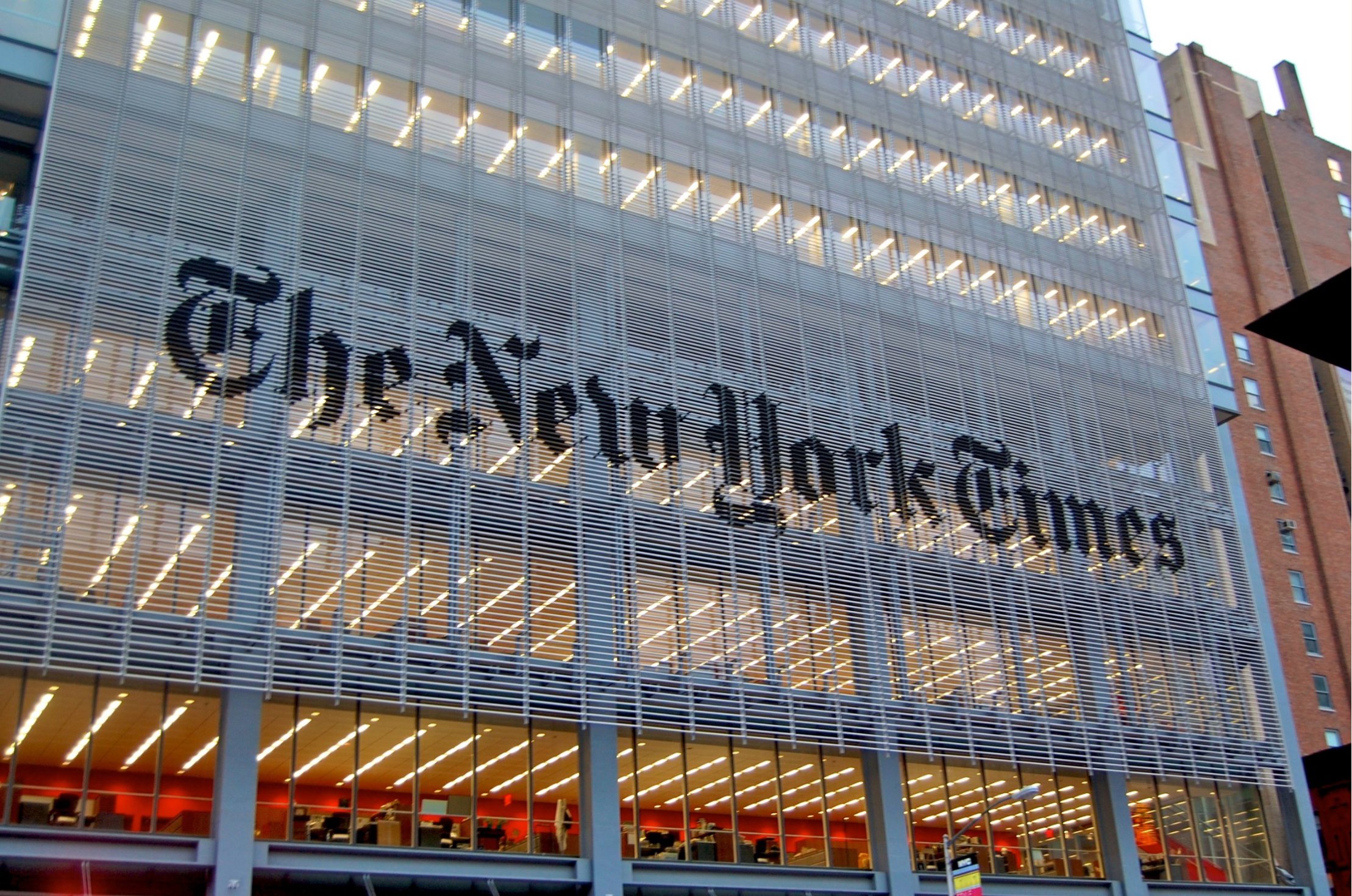 O New York Times reconhece o trabalho da ICAN Vets