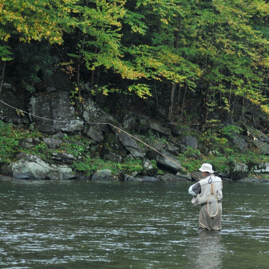 Fly fishing in the Hudson Valley is a must for any angler 🎣 This region of New York is home to some of the best fly fishing opportunities in the country. With over 3,000 miles of rivers and streams, the Hudson Valley offers plenty of options for sea