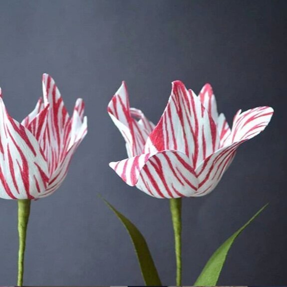 tulipanes+lucia.jpg