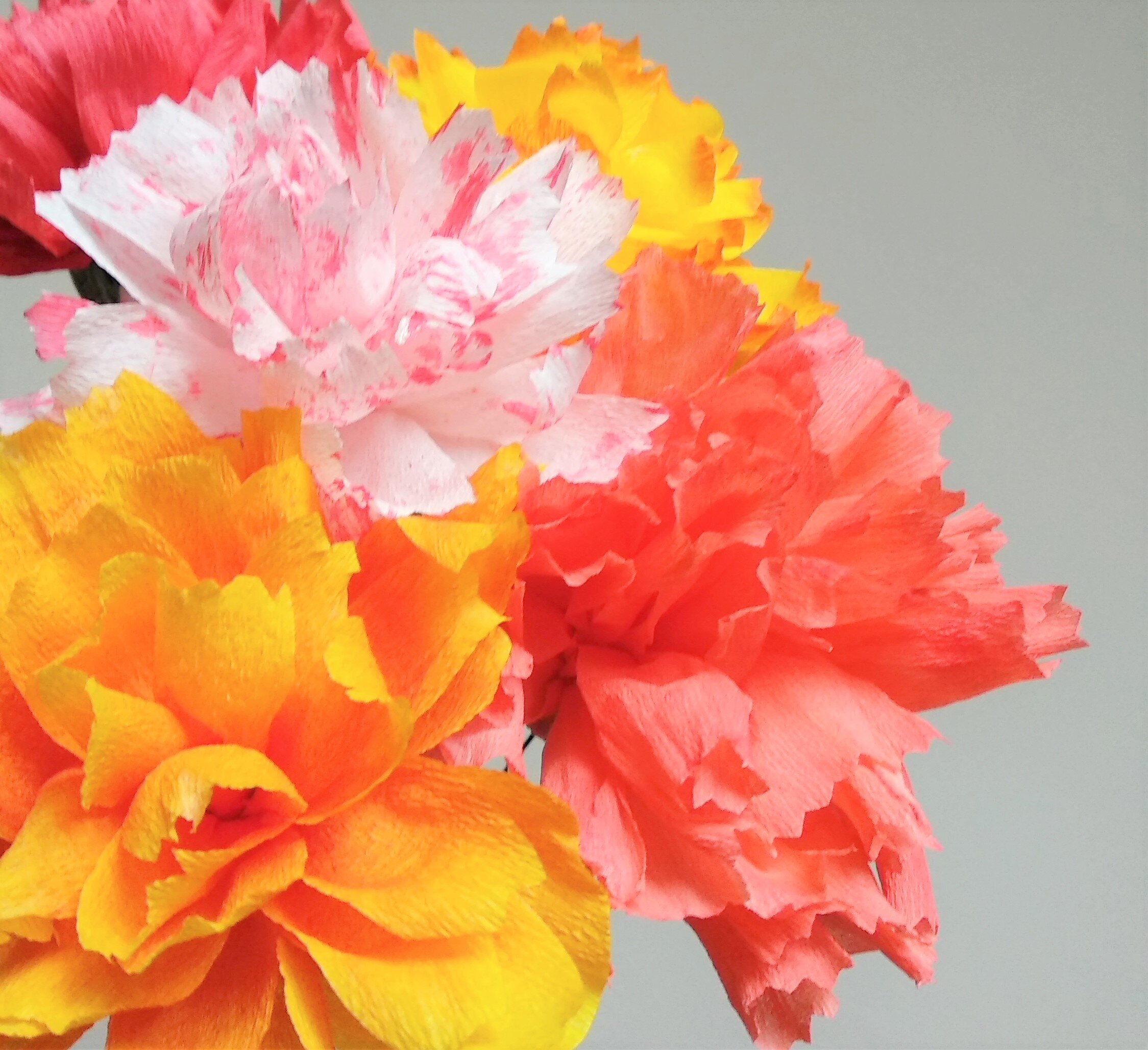 Bebida Sentimental Reportero Cómo hacer claveles de papel crepé — Nikua | Artesanía floral en papel y  tela