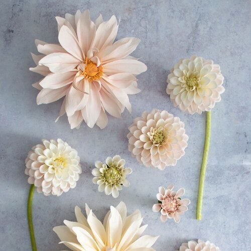 Crepe-paper-Cafe-au-Lait-dahlia-online-course-by-Crafted-to-Bloom-%23paperflowers%2Bcopy.jpg