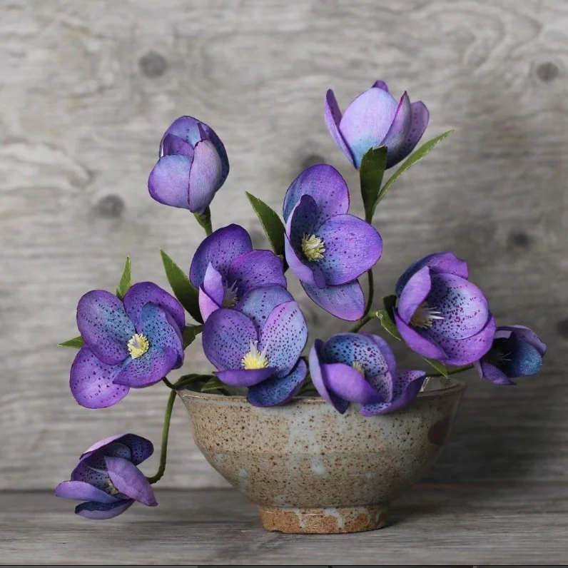 HELLEBORE.jpg