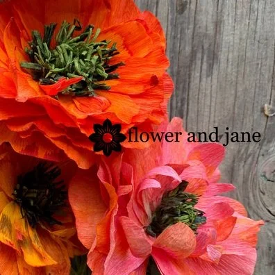 Relax+and+Create+Ranunculus.jpg