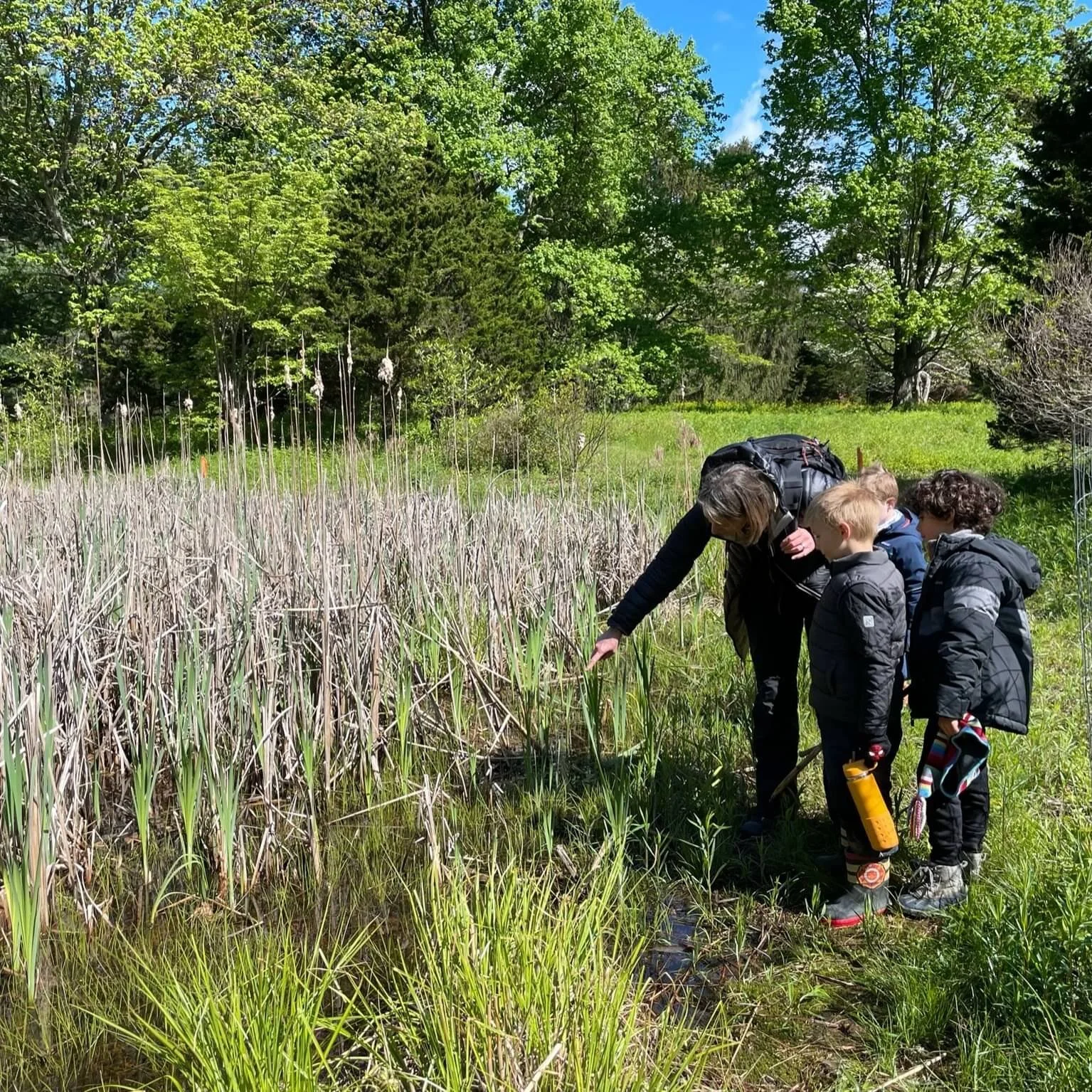 At The Children's Burrow, kids have been so excited to see the turtles&rsquo; return, ducks&rsquo; arrival, and tadpoles&rsquo; emergence. We feel so privileged to be at @tylerarboretum where nature is both our classroom and teacher.🐢🦆🐸