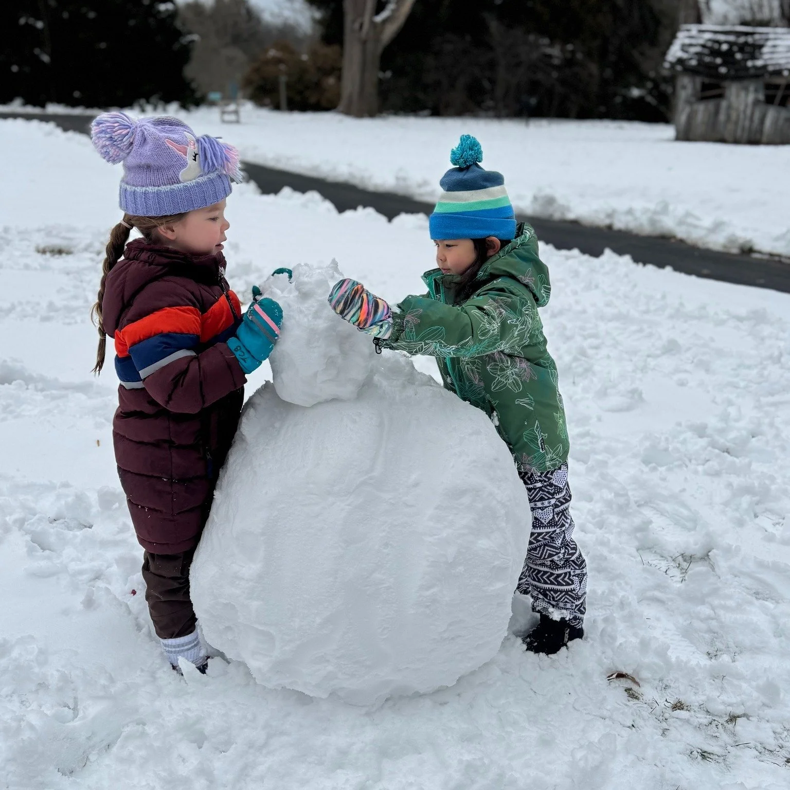 Registration for the 2026-2027 school year at The Children's Burrow opens tomorrow, Friday, January 30, at 9 a.m. 😀⛄
https://www.childrensburrow.com/registration