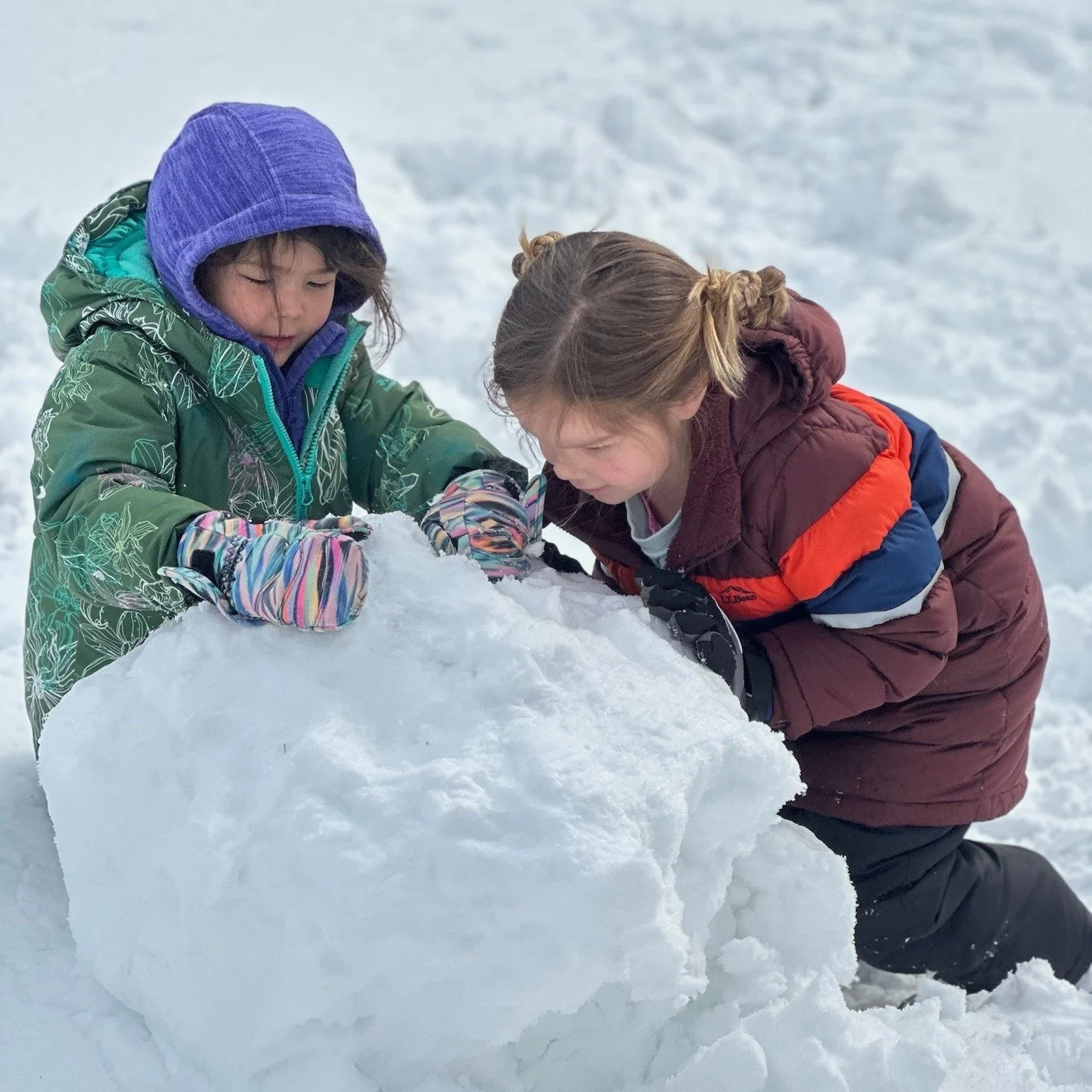 The magic of snow continues! ❄⛄❄
