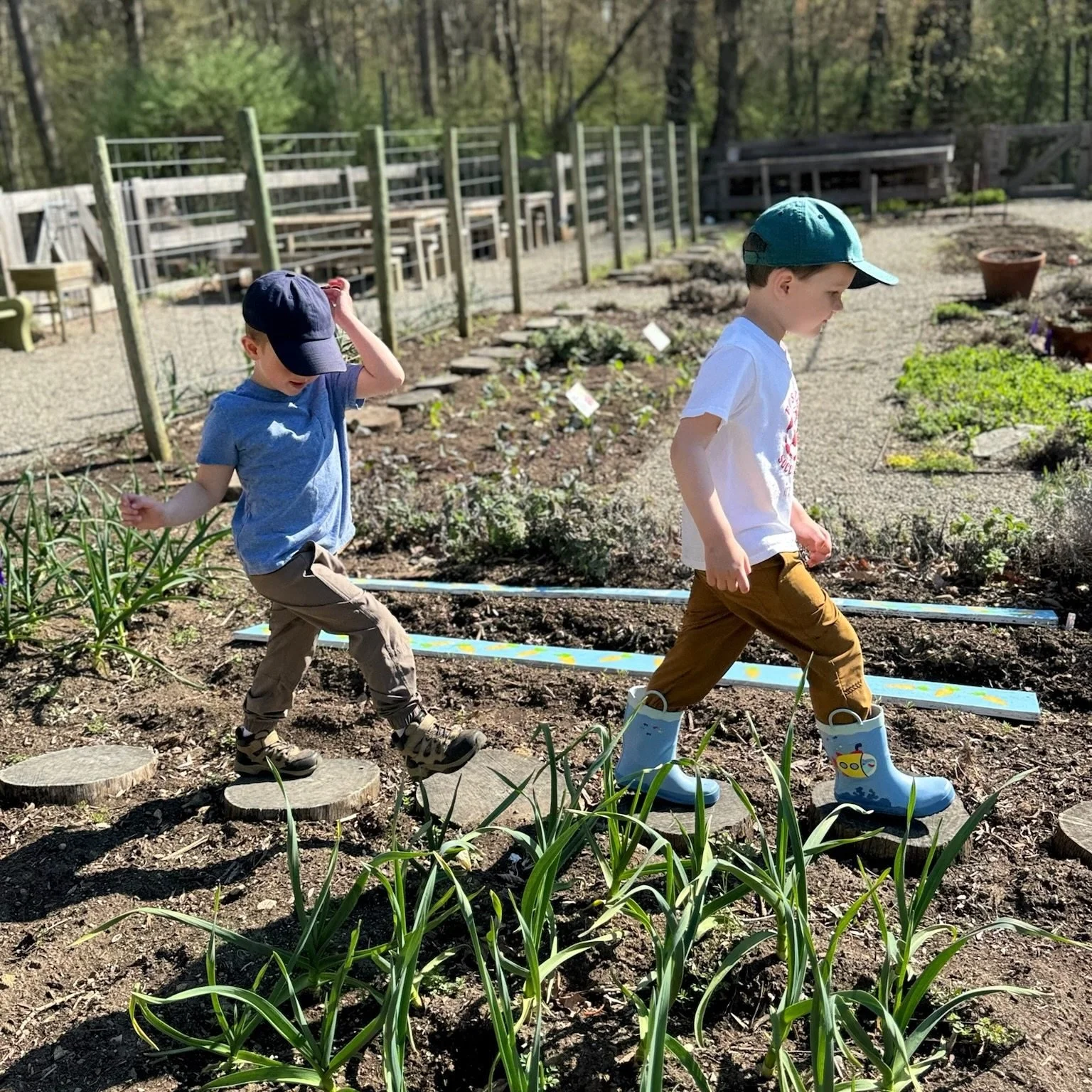 It's so wonderful to be back in the garden tasting sorrel and skipping around all that's beginning to pop up! Bess @tylerarboretum has created such a deliciously welcoming space for everyone!!! 💚🌱💚