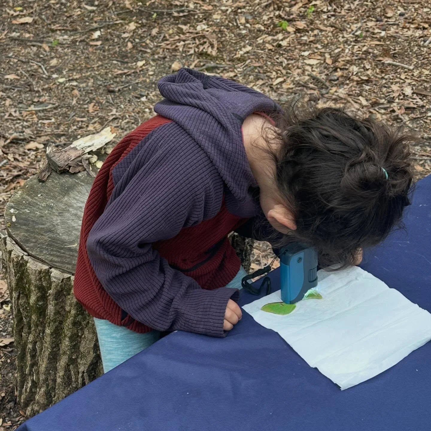 Discovering the wonders of nature up close 🔬🦋