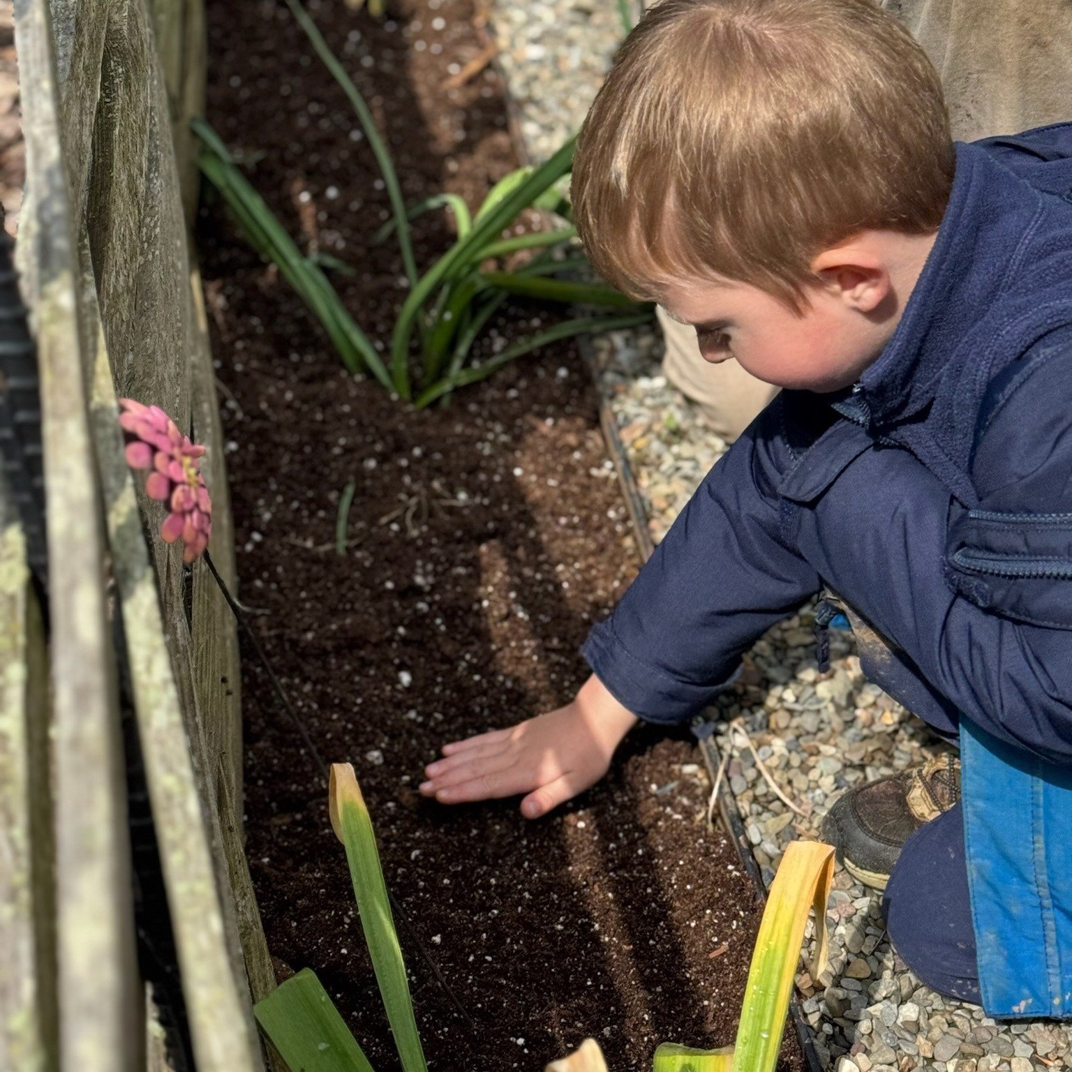 The kids were so happy to help plant cucamelon seeds this week @tylerarboretum in Lucille's Garden with Bess. They have tasty memories harvesting them last fall! 😋